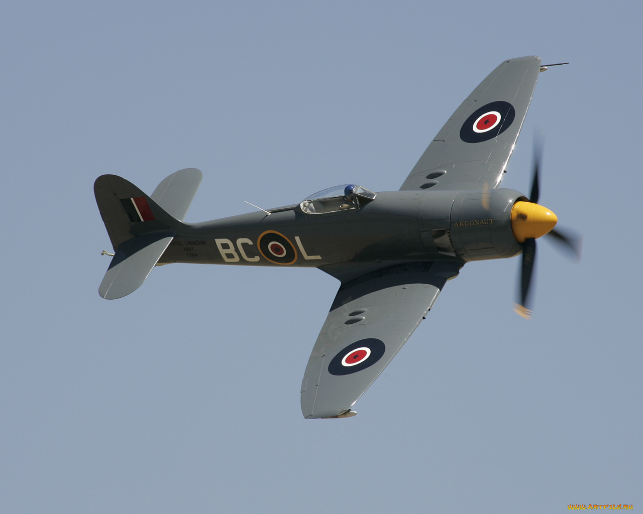 авиация, лёгкие, одномоторные, самолёты