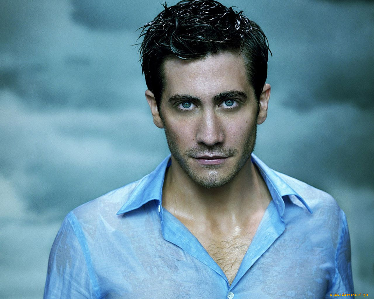 мужчины, jake, gyllenhaal