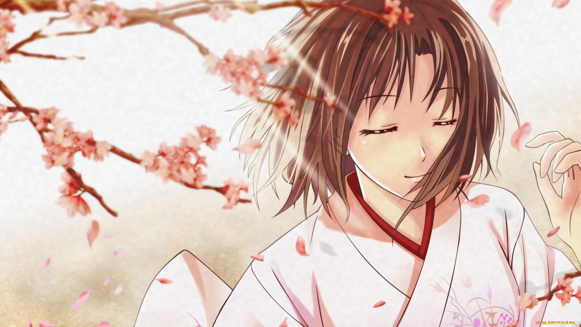 kara, no, kyokai, аниме