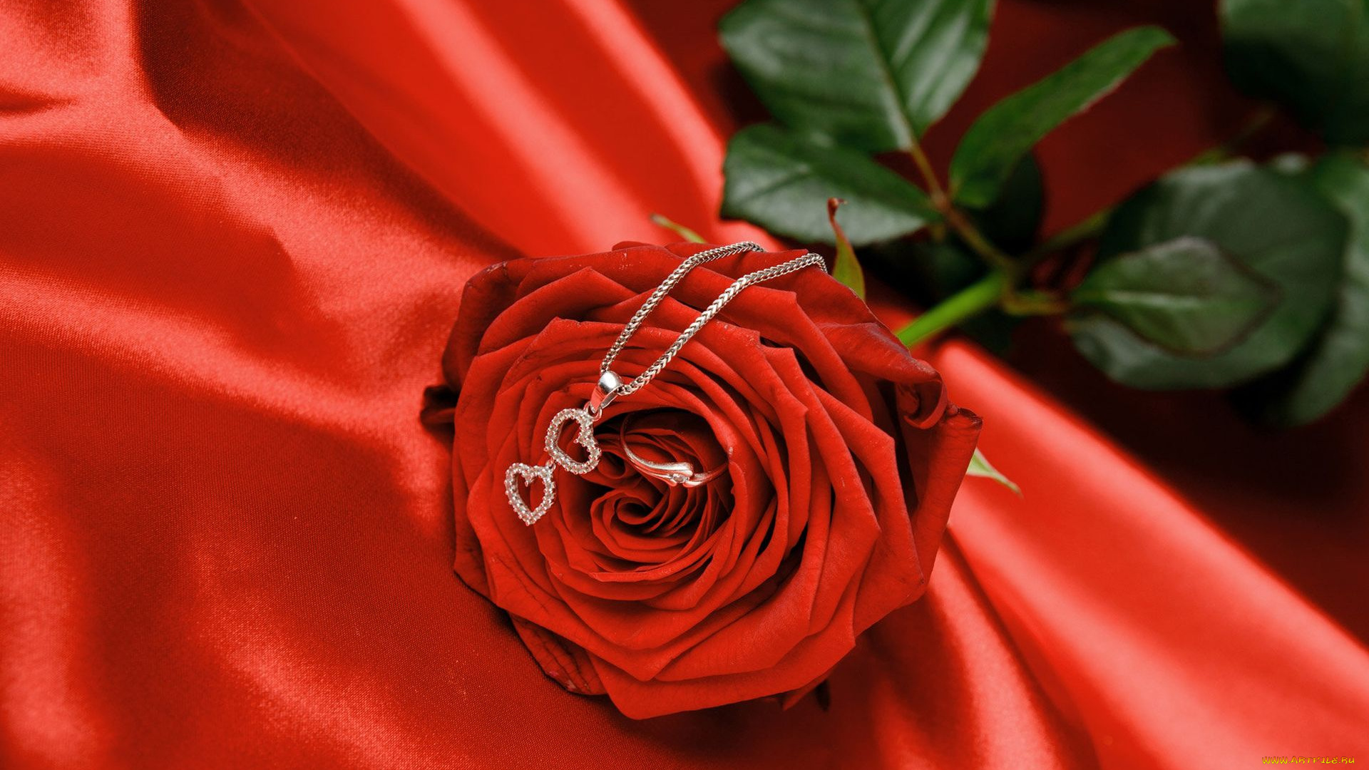 цветы, розы, сердечки