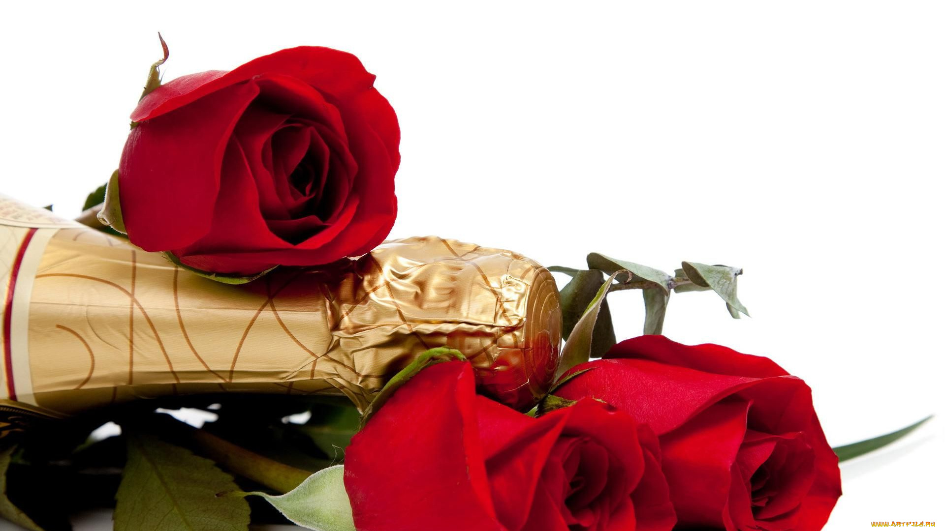 цветы, розы, шампанское