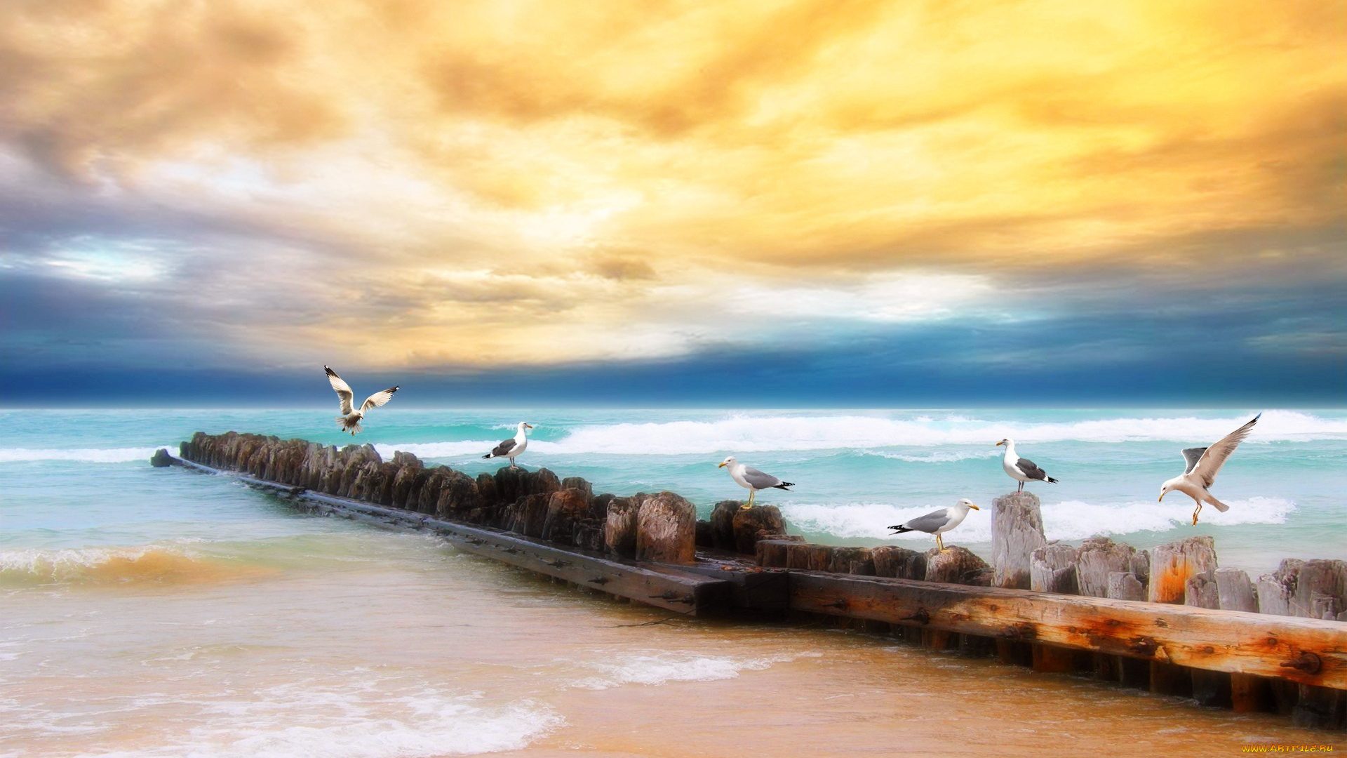 природа, побережье, море, чайки, небо