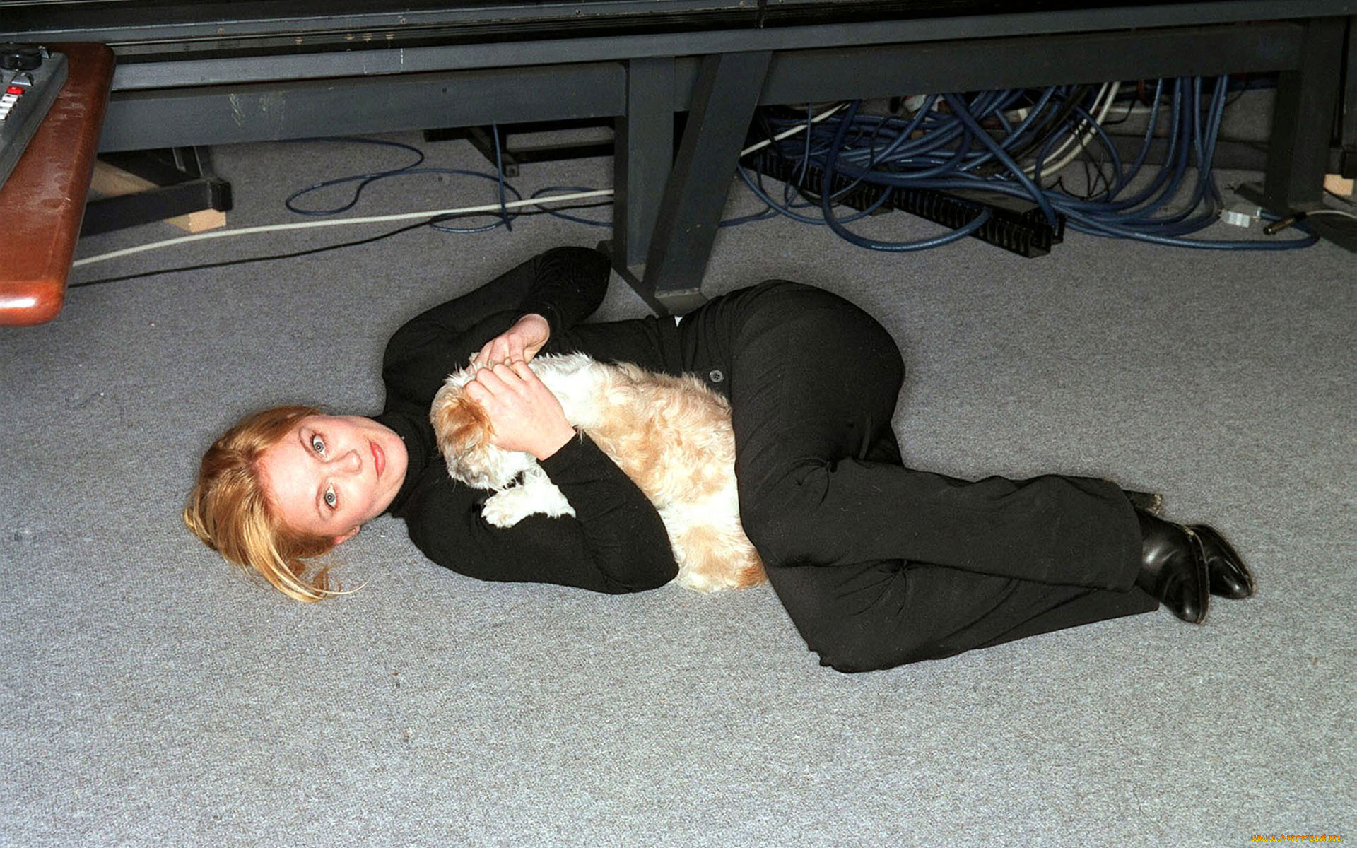 музыка, geri, halliwell, с, собачкой