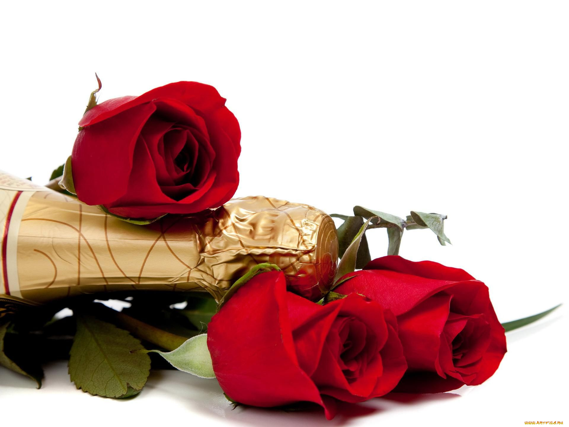 цветы, розы, шампанское