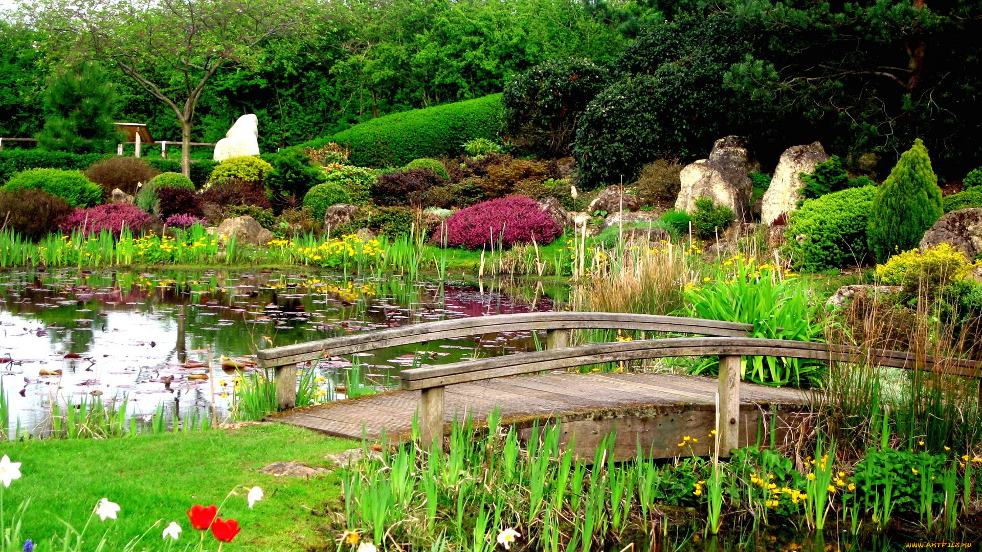 природа, парк, водоем, мостик, кусты, деревья