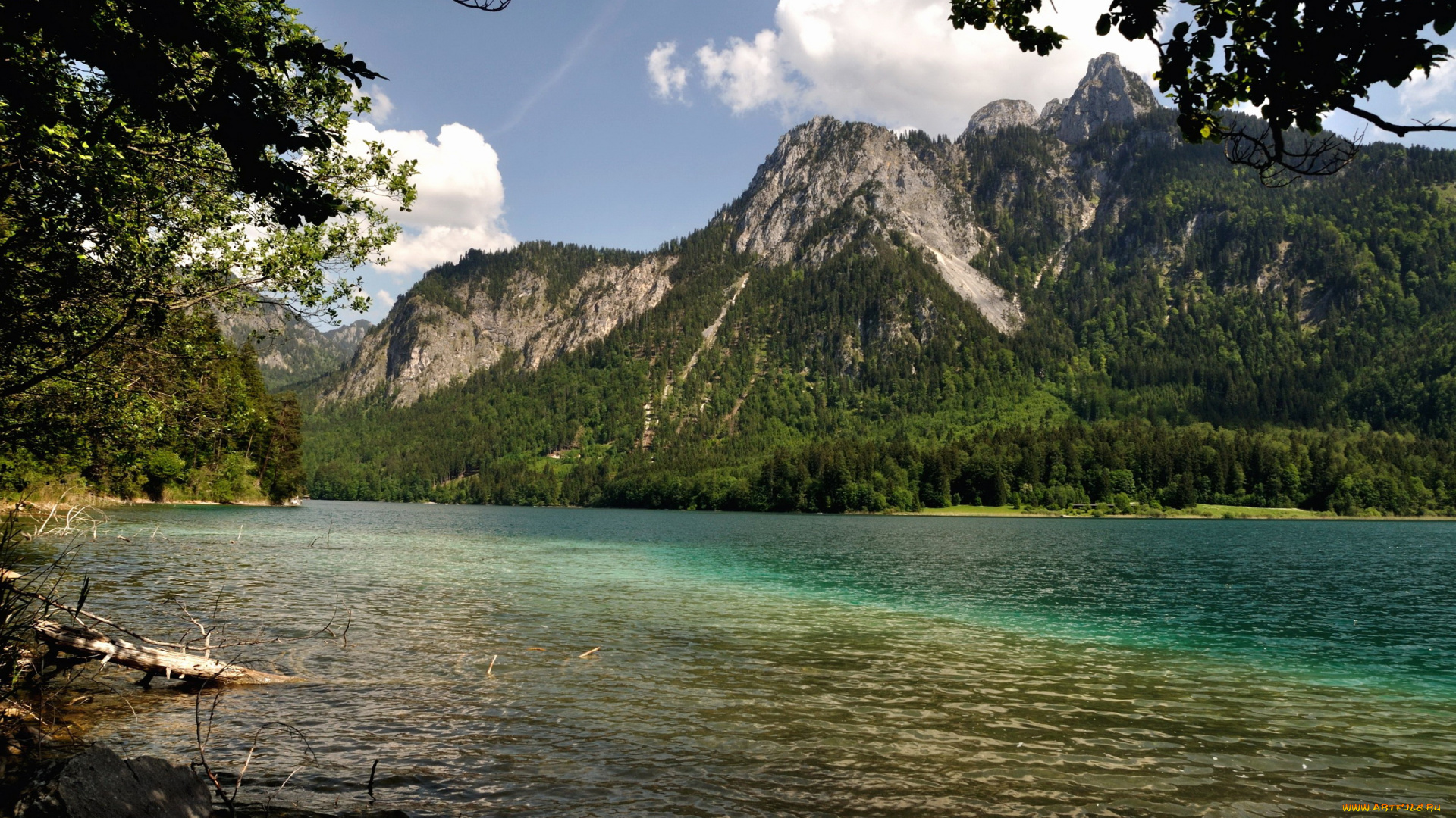 природа, реки, озера, горы, лес, река