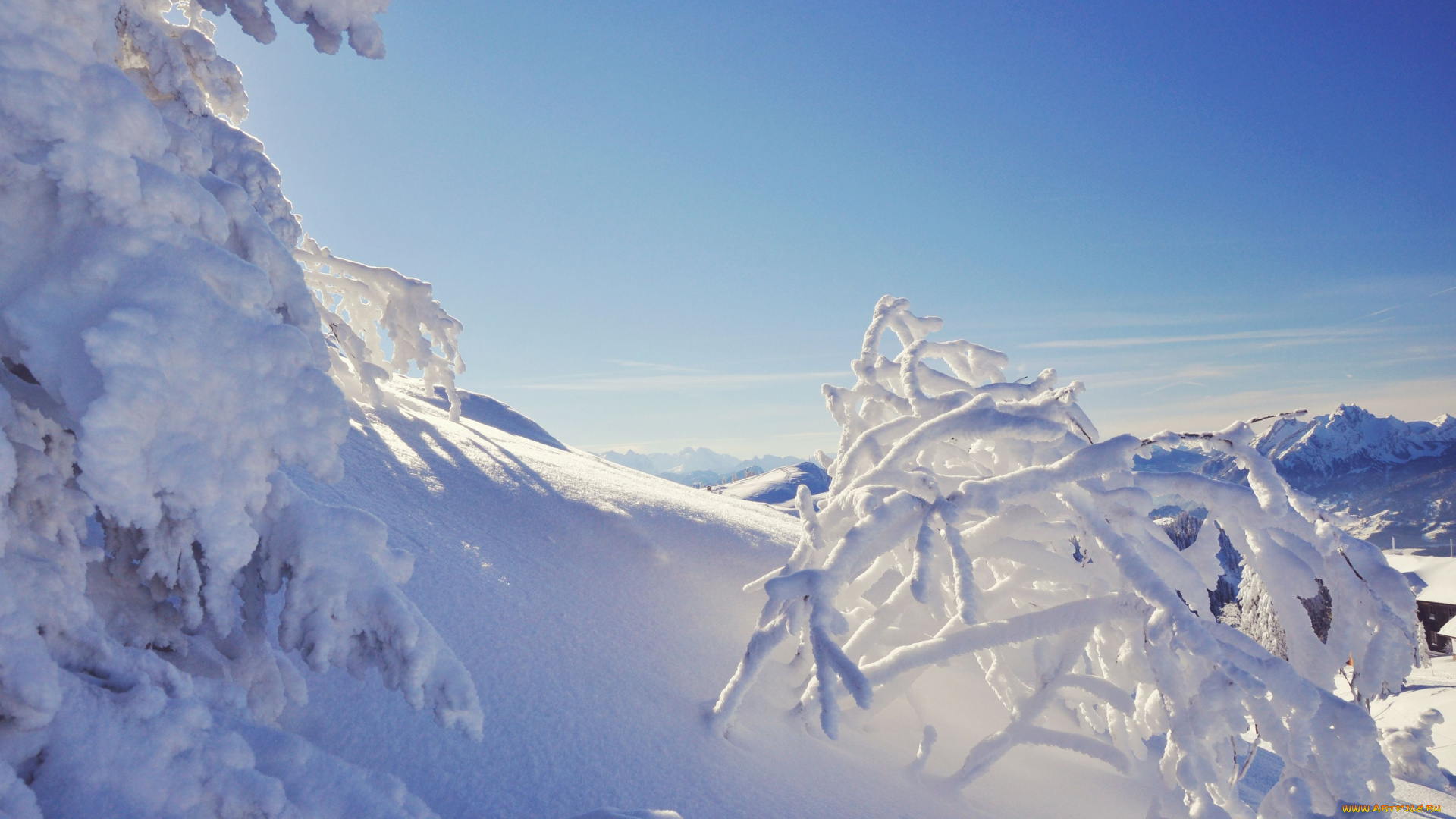 природа, зима, снег