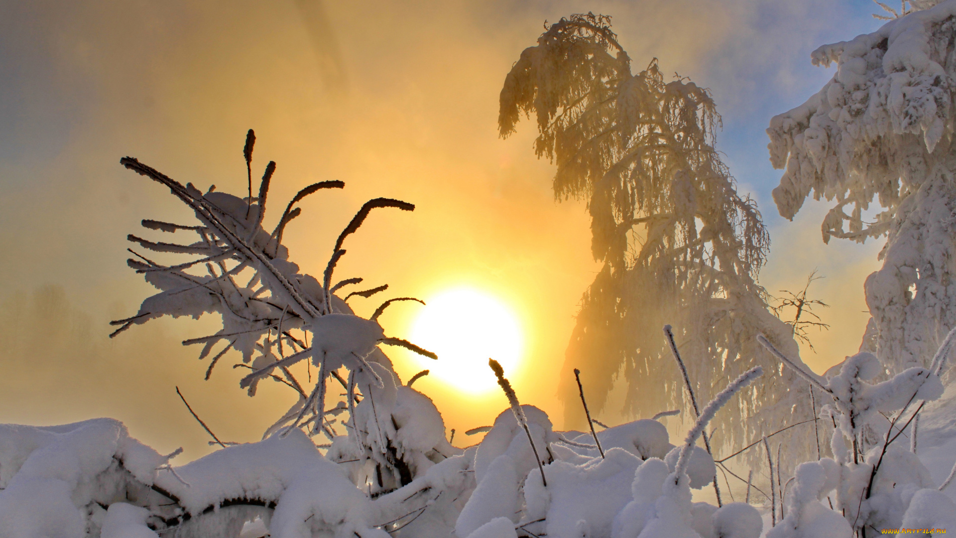 природа, зима, снег, солнце
