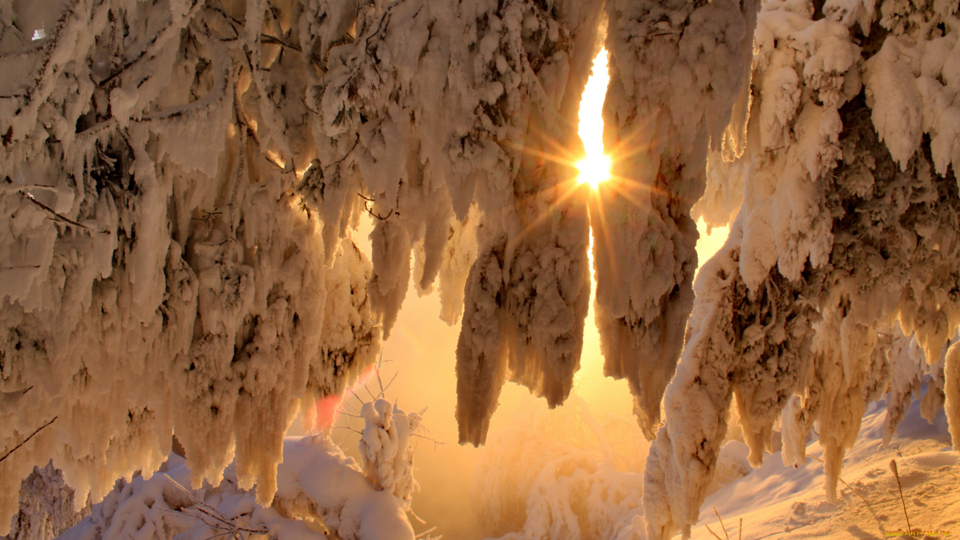 природа, зима, снег, солнце