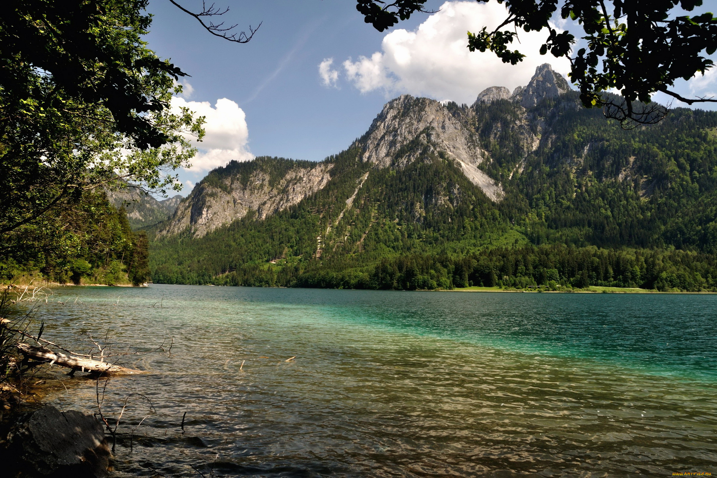 природа, реки, озера, горы, лес, река