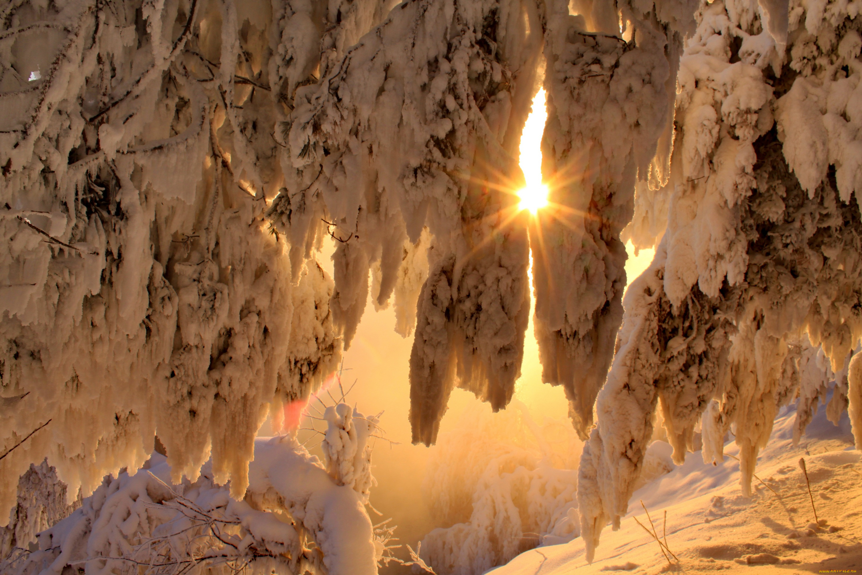 природа, зима, снег, солнце