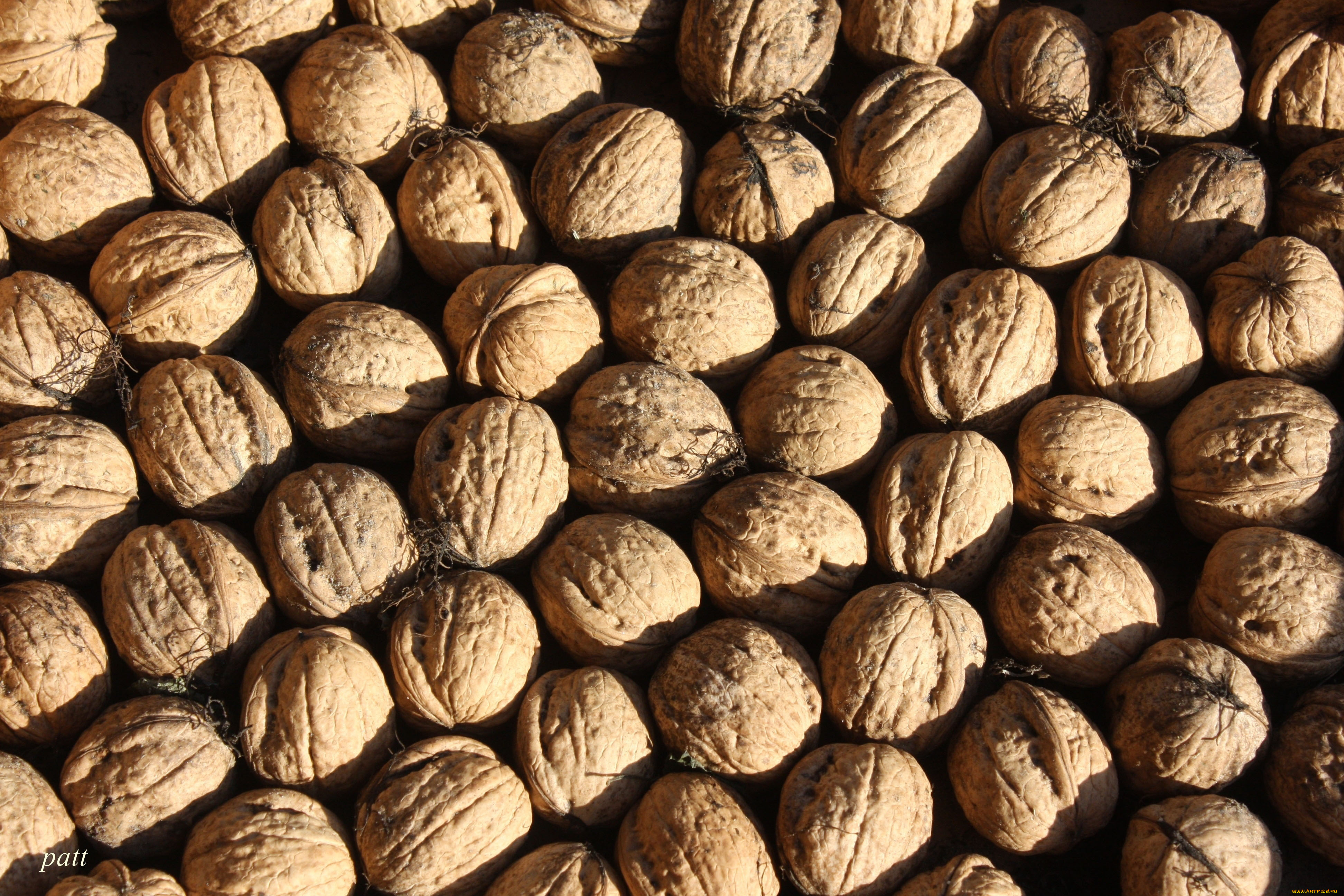 еда, орехи, каштаны, грецкие