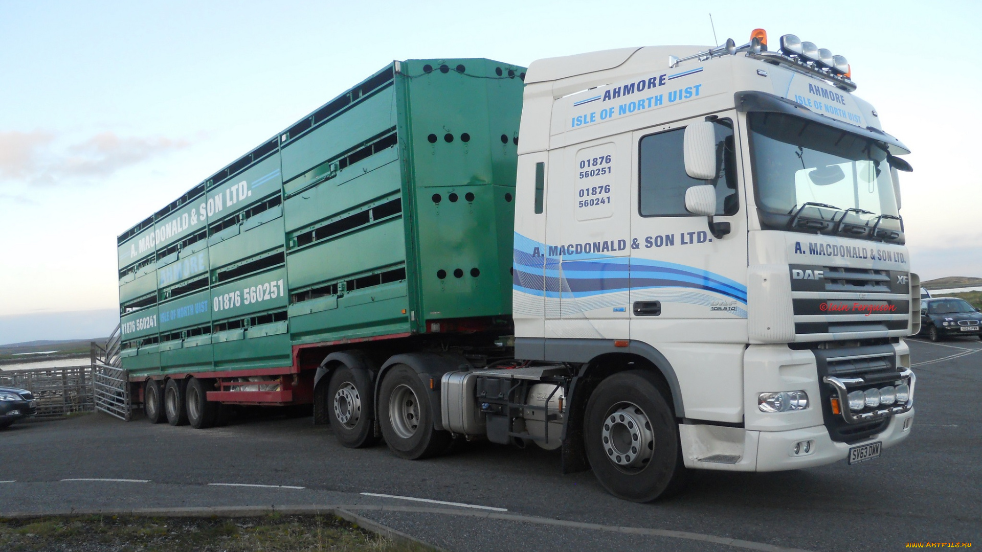 daf, автомобили, шасси, автобусы, седельные, тягачи, trucks, nv, нидерланды