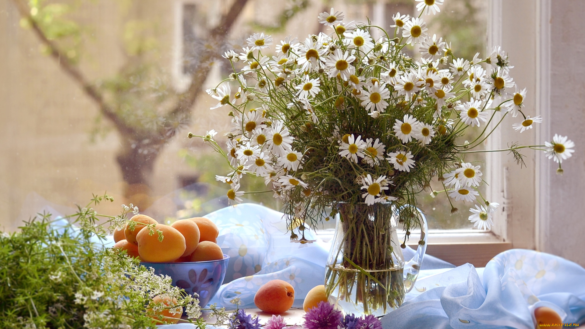 еда, персики, , сливы, , абрикосы, ромашки, абрикосы