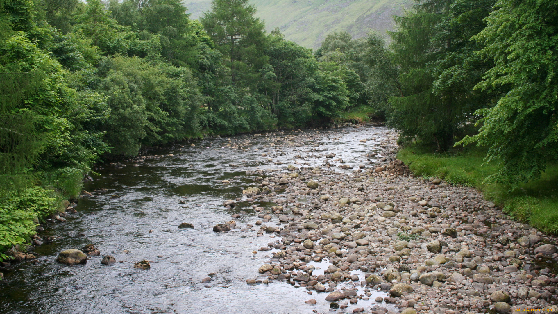 природа, реки, озера, река, камни, лес