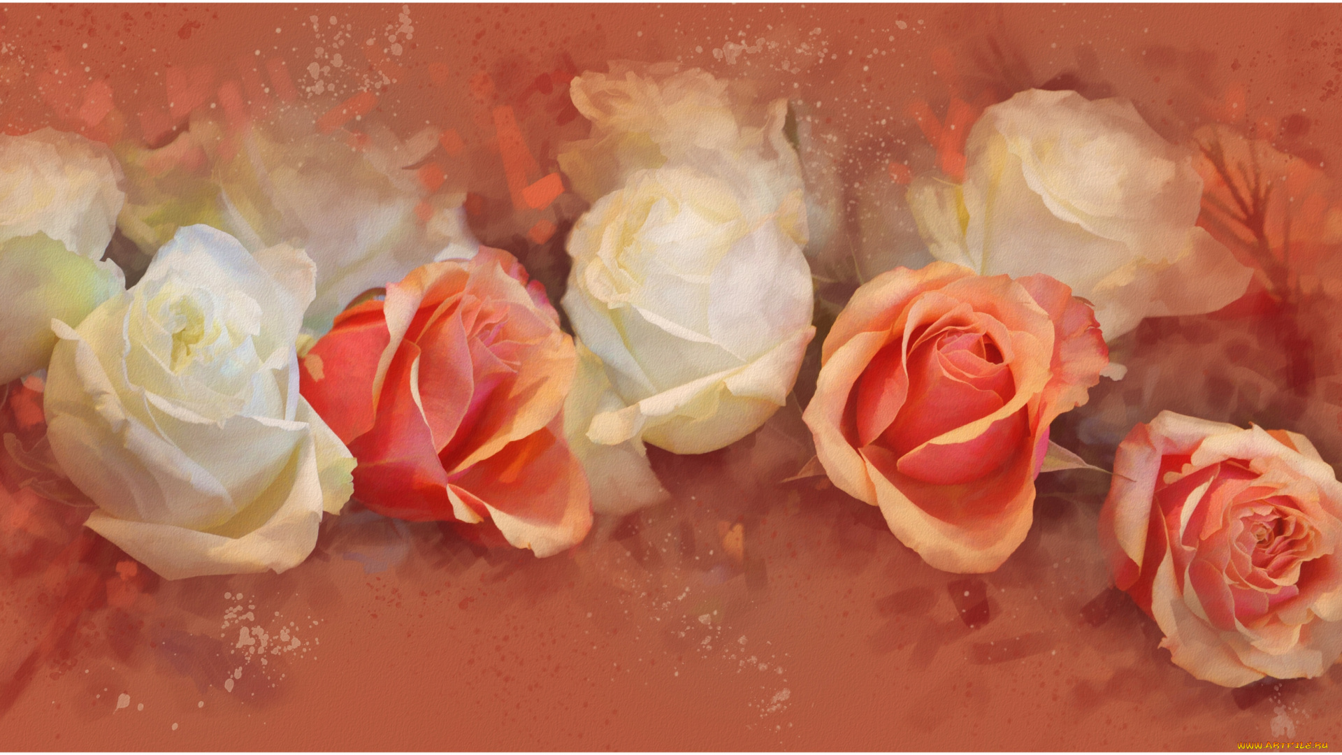 рисованные, цветы, розы