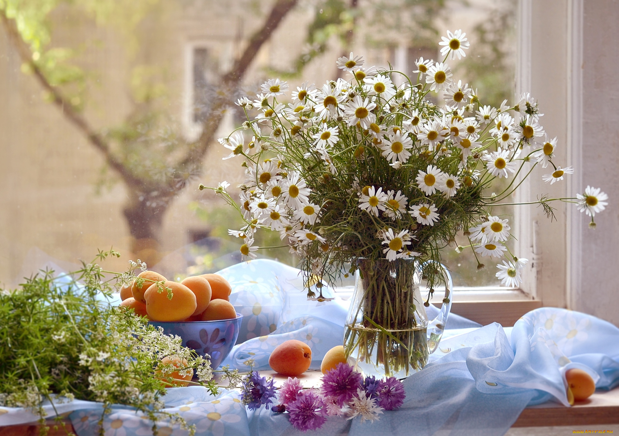 еда, персики, , сливы, , абрикосы, ромашки, абрикосы