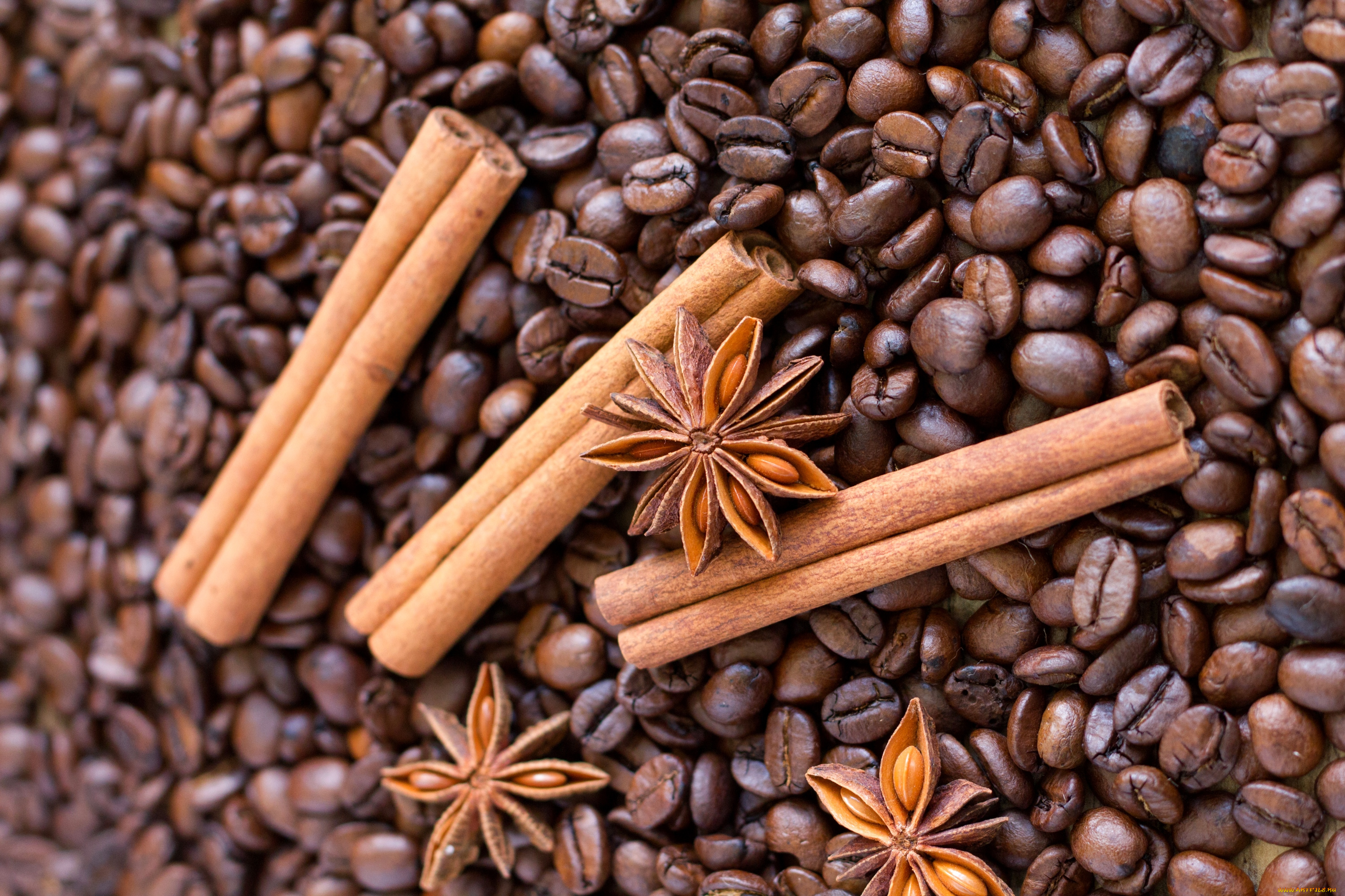еда, разное, корица, кофе, анис