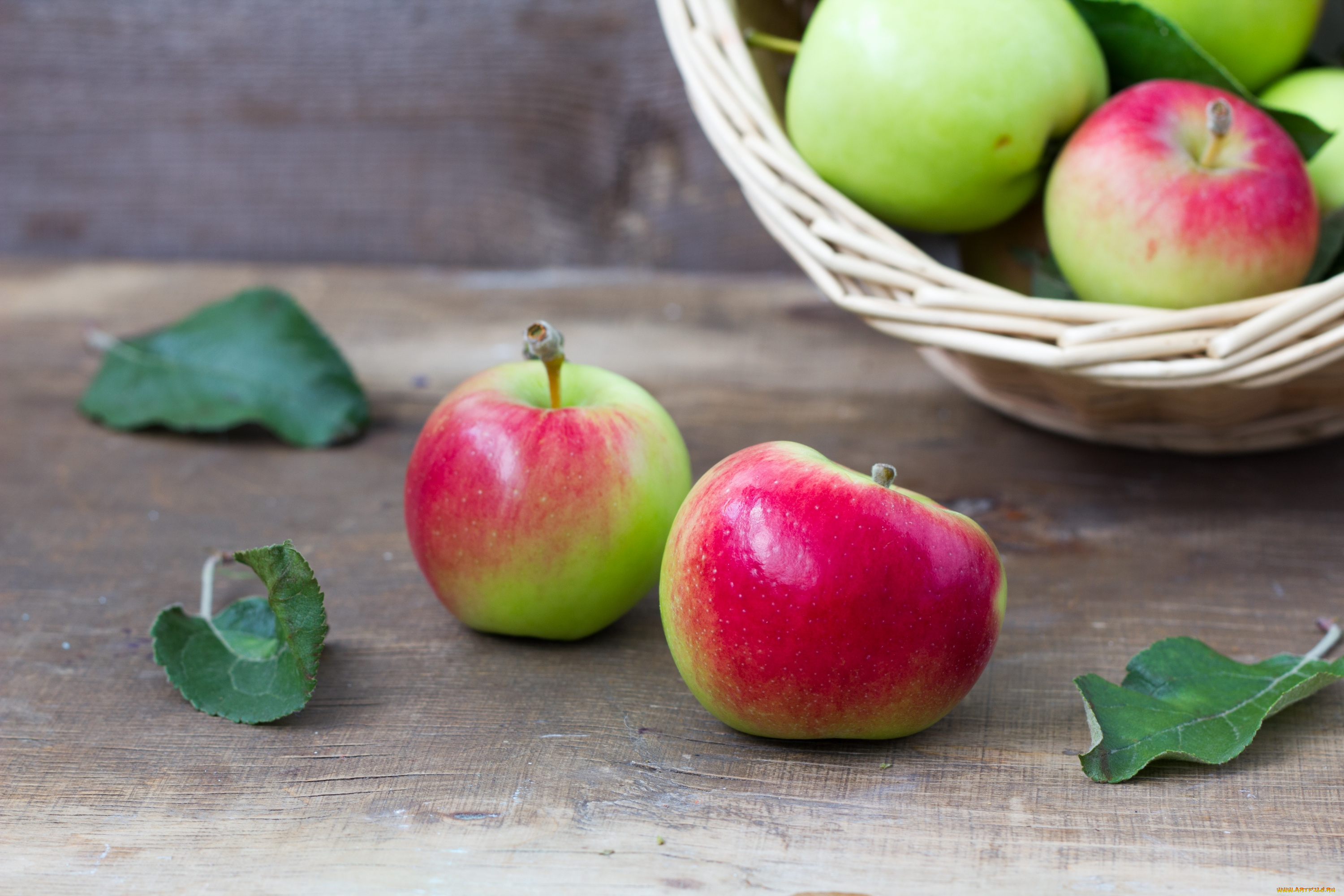 еда, Яблоки, плоды