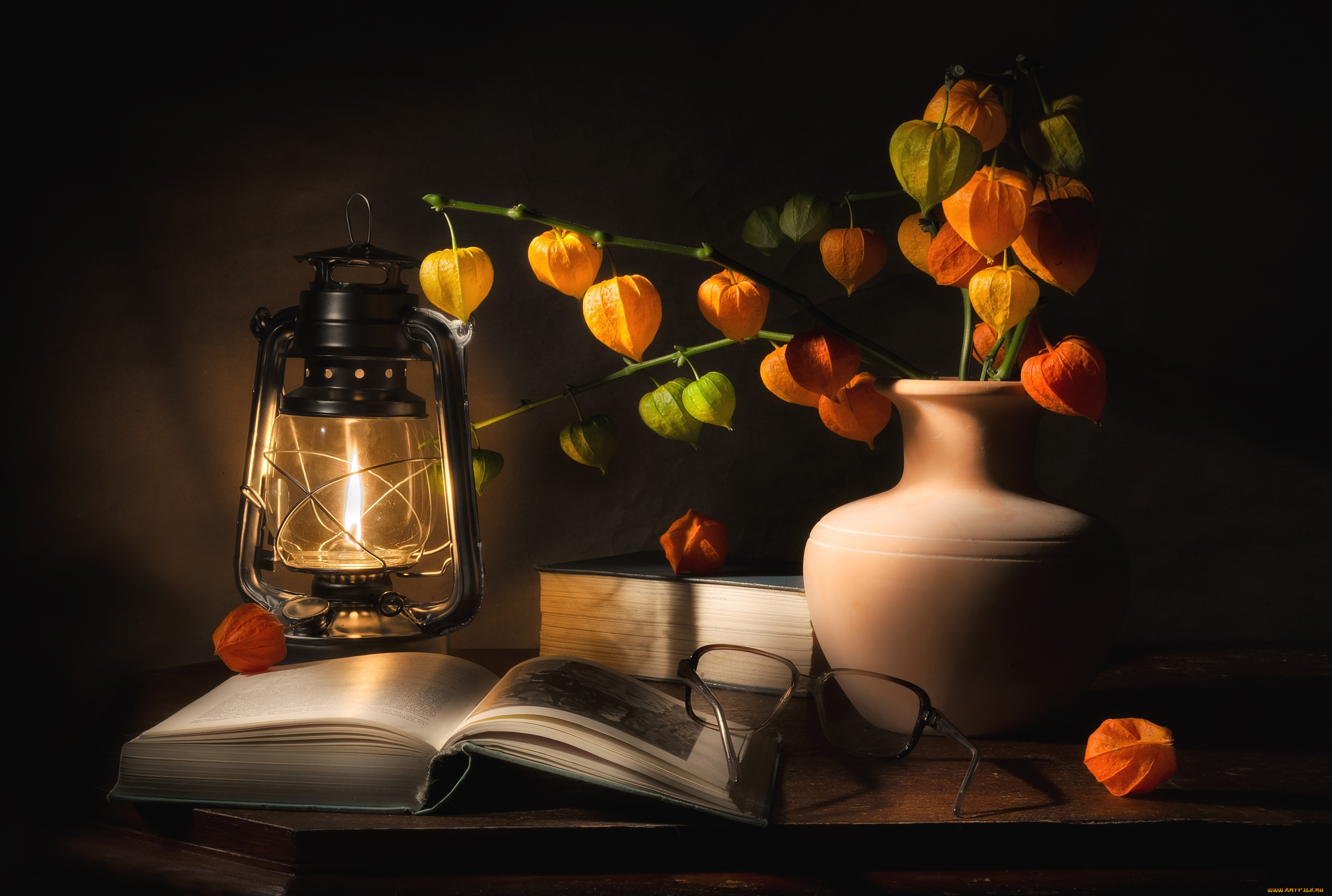 еда, физалис, фонарь, книга, очки, букет