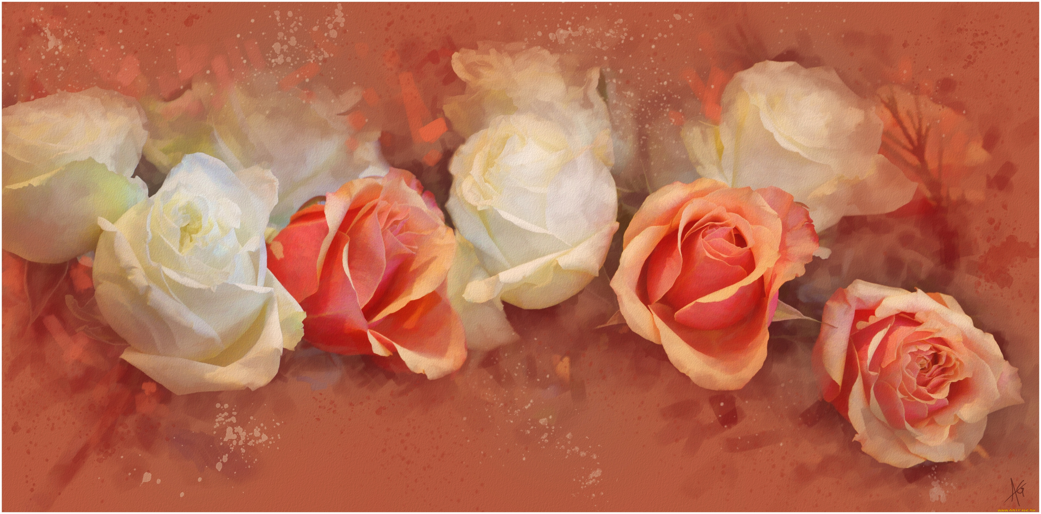 рисованные, цветы, розы