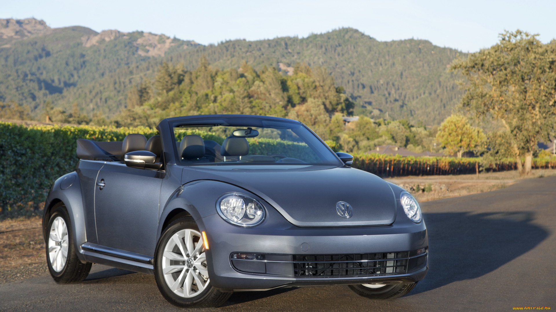 автомобили, volkswagen, beetle, convertible, tdi, 2013г