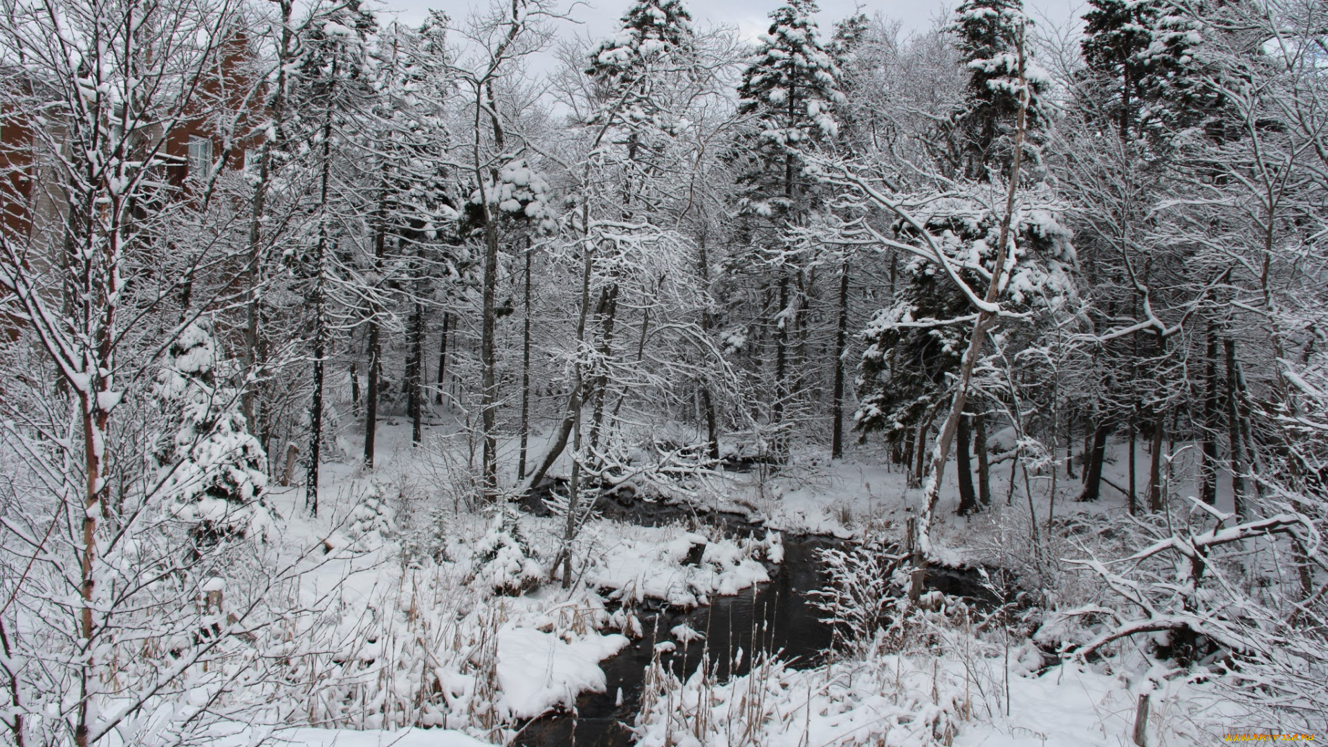 природа, зима, снег, река, деревья