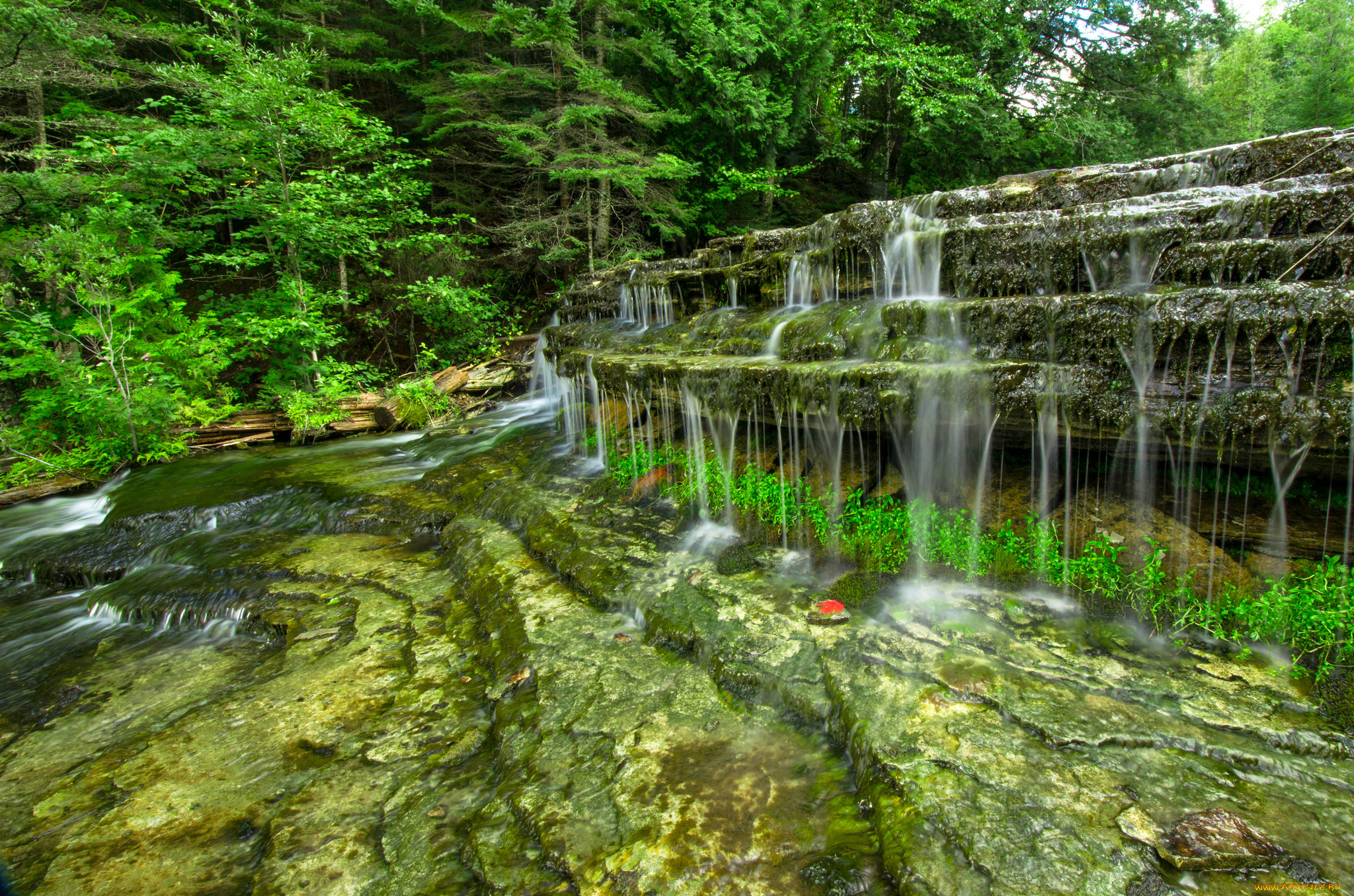 природа, водопады, лес, река, водопад