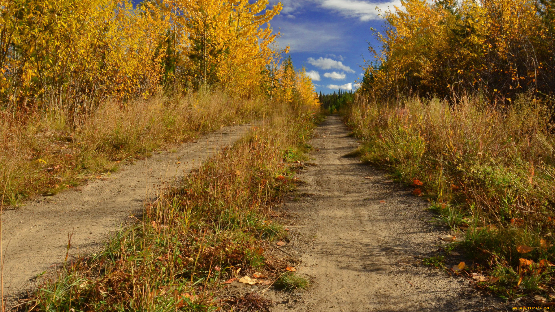 природа, дороги, осень