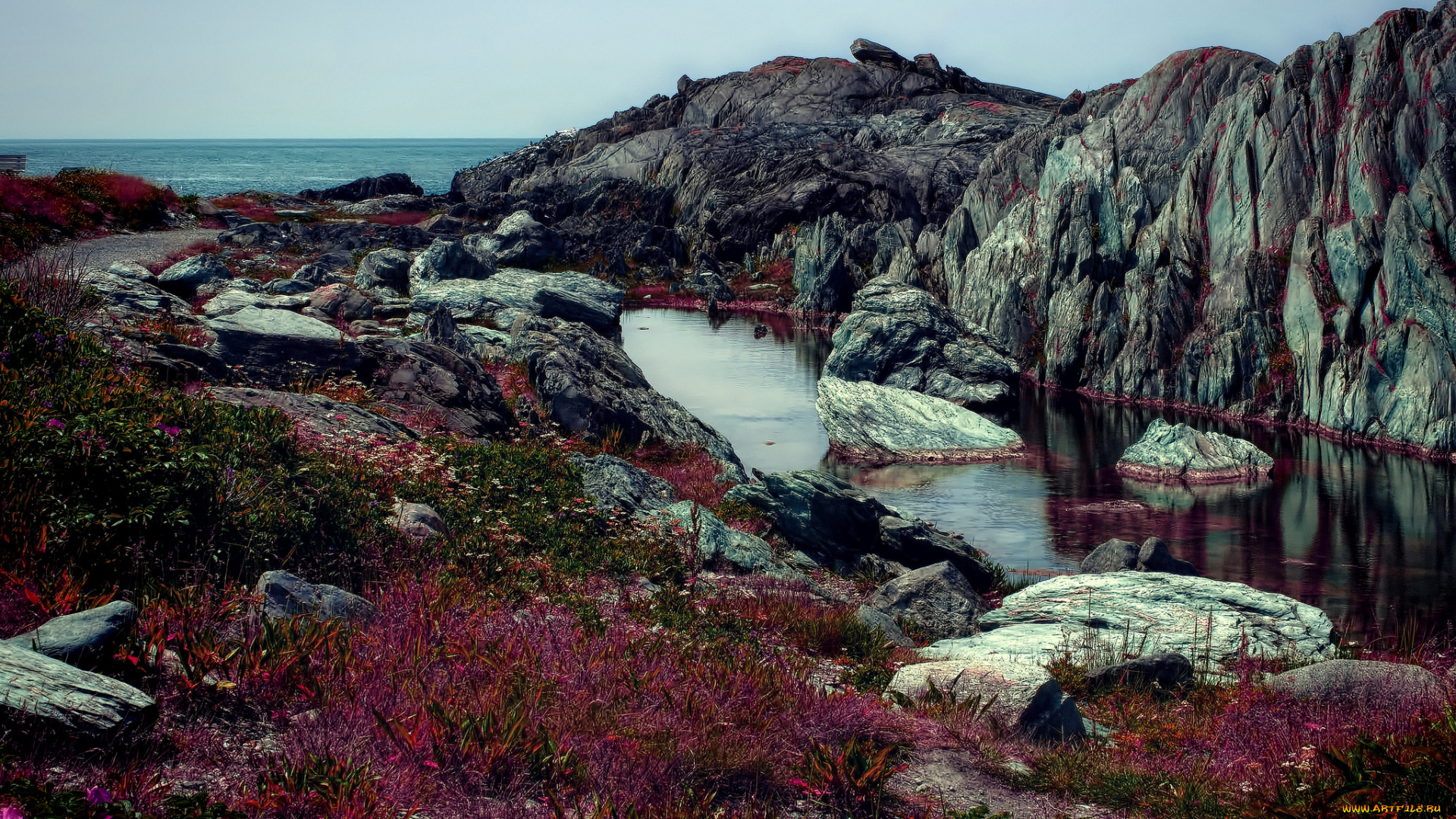 природа, побережье, океан, скалы