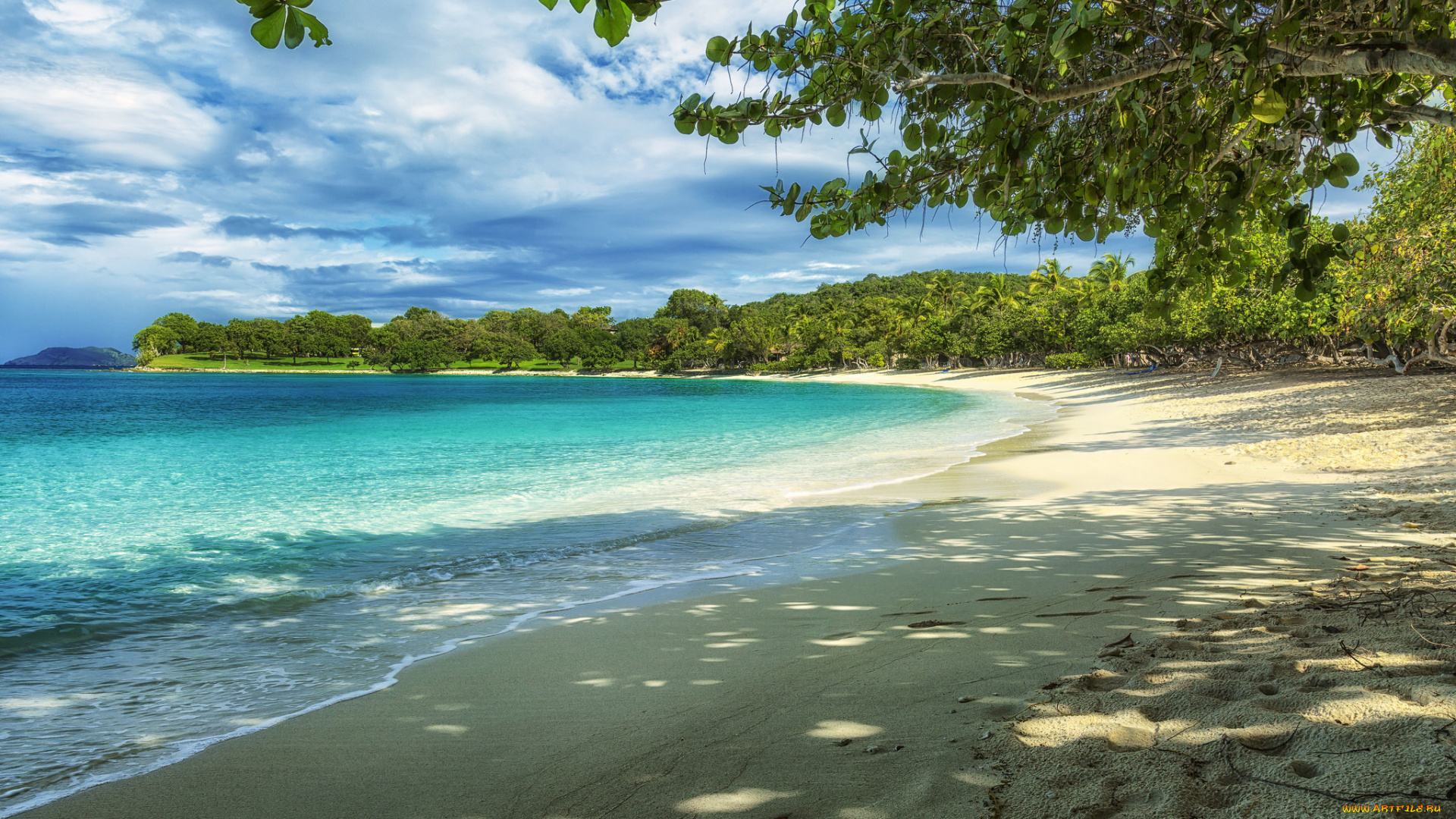 природа, тропики, камни, деревья, вода, пляж