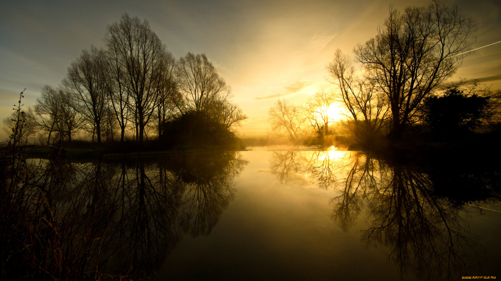 природа, восходы, закаты, река, лес