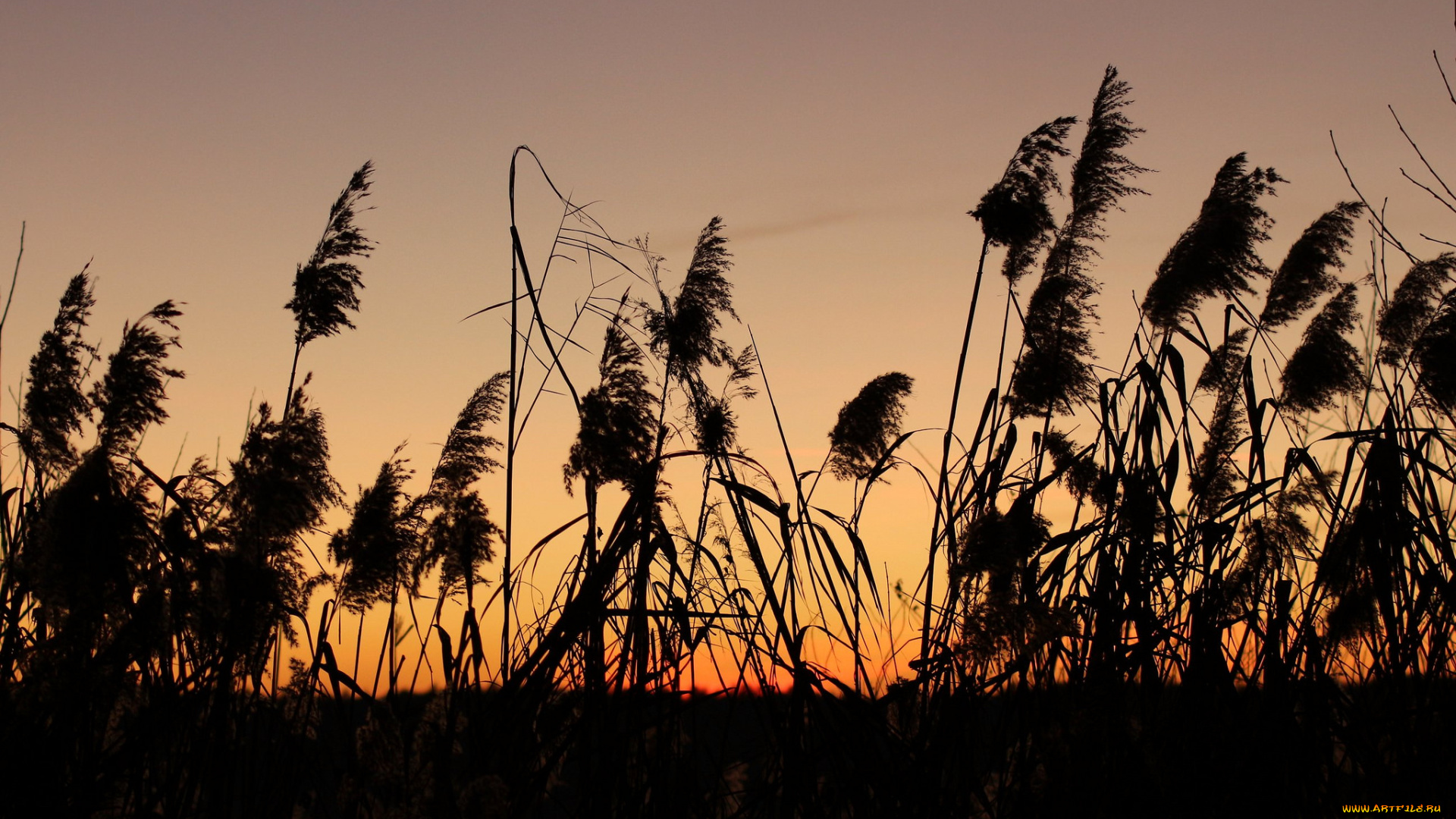 природа, восходы, закаты, утро