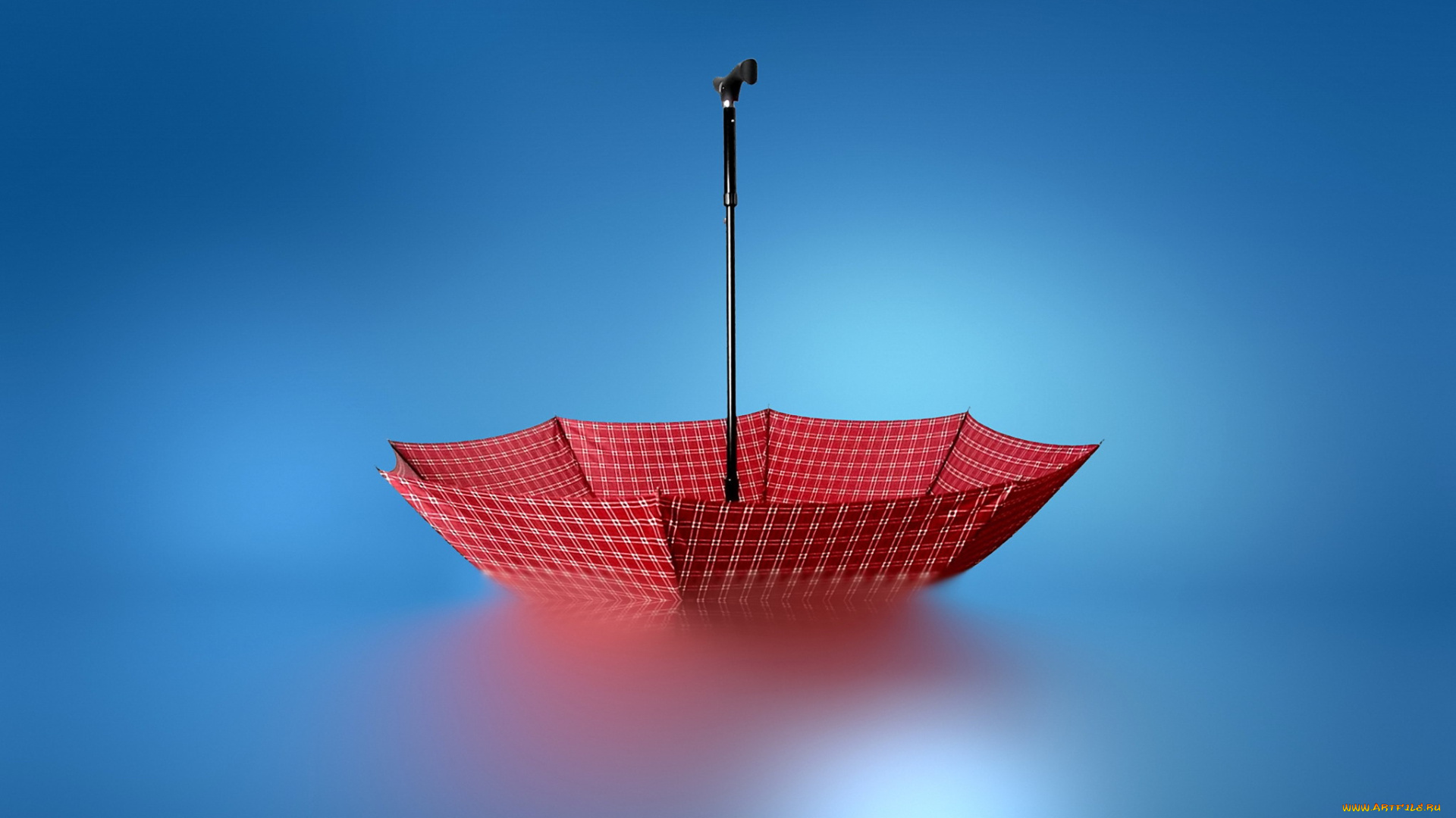 разное, сумки, , кошельки, , зонты, вода, красный, зонт