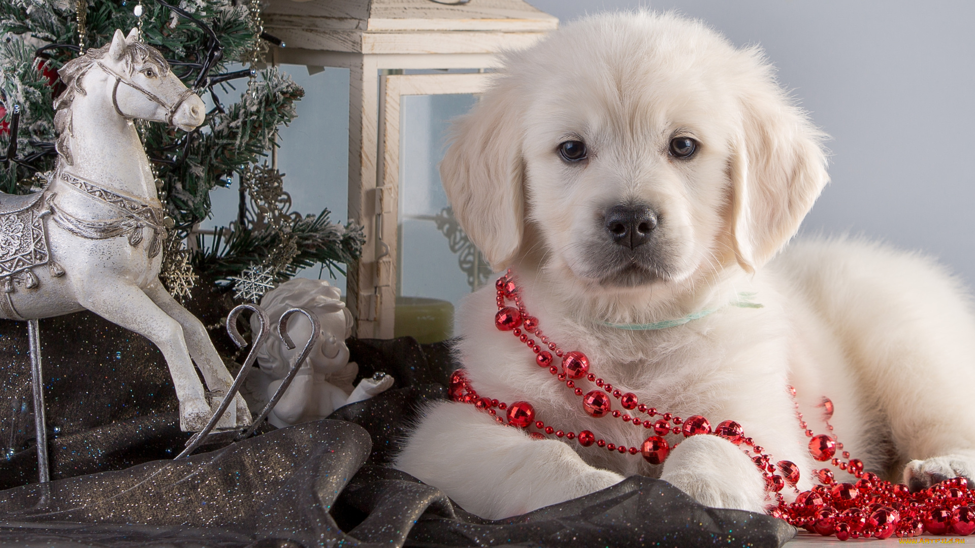 животные, собаки, лошадь, гирлянды, елка, щенок, ретривер, ангел, конь