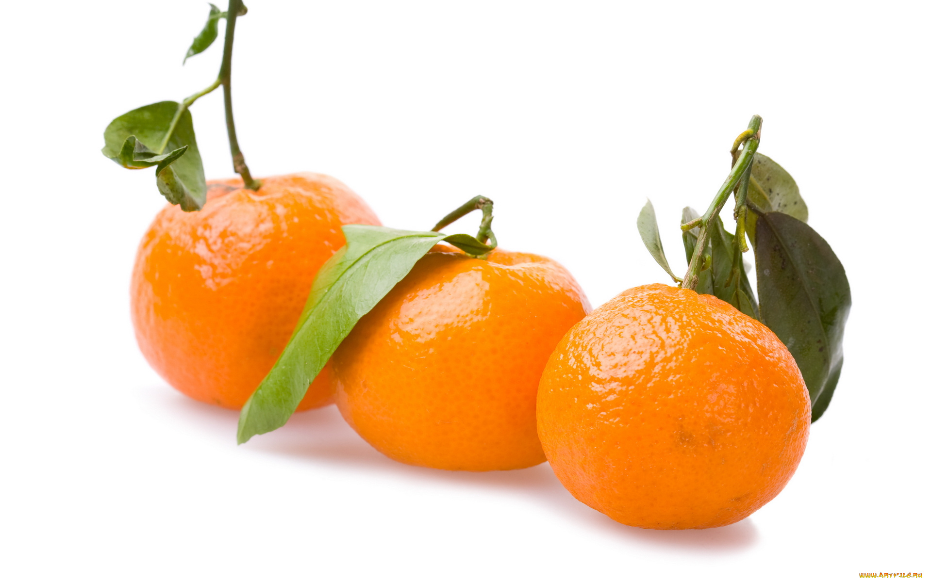 еда, цитрусы, черенки, листья, мандарины