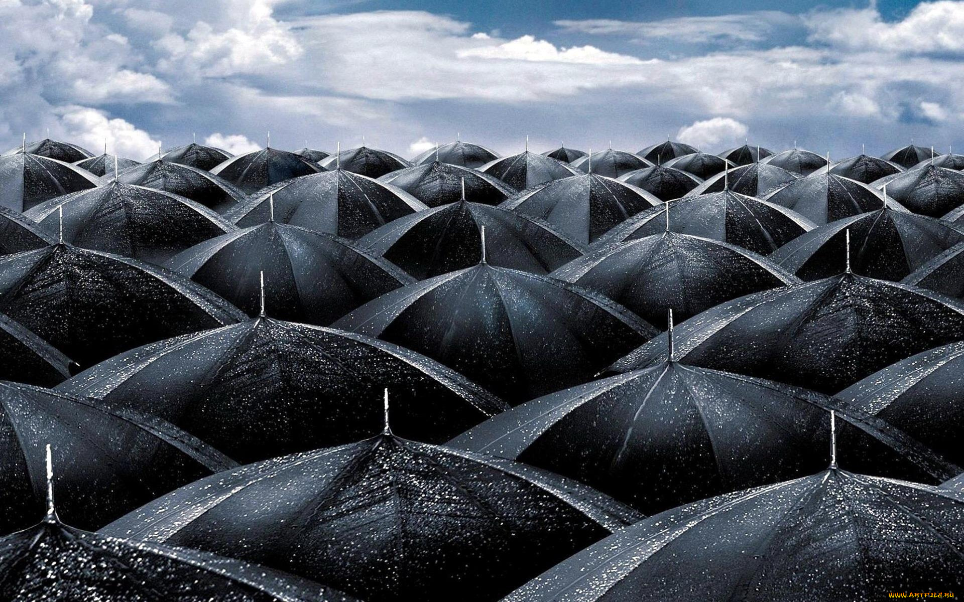 разное, сумки, , кошельки, , зонты, облака, небо, мокрые, черные, зонты