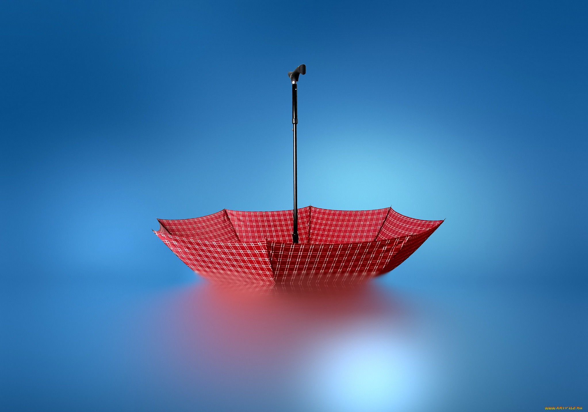 разное, сумки, , кошельки, , зонты, вода, красный, зонт