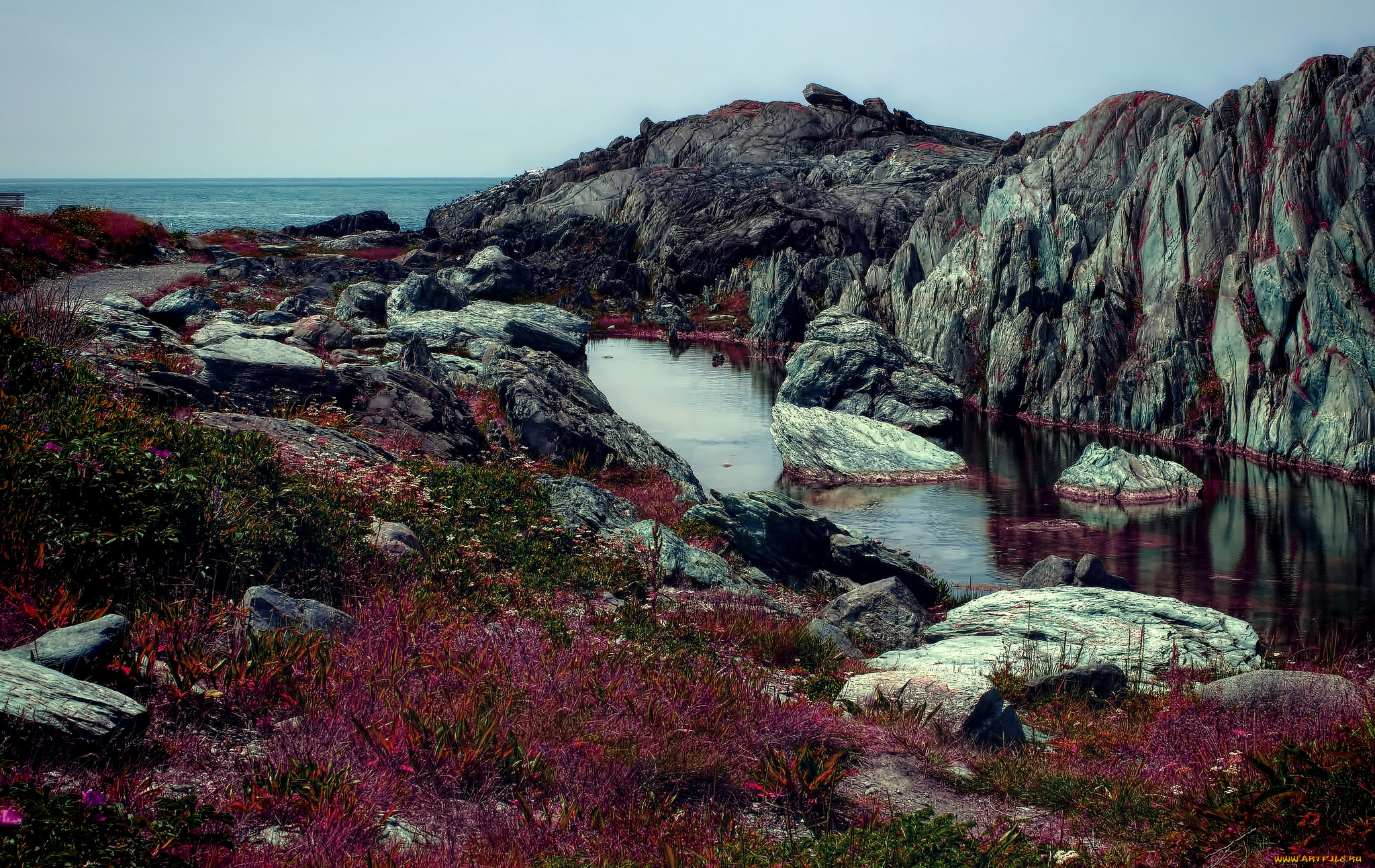 природа, побережье, океан, скалы