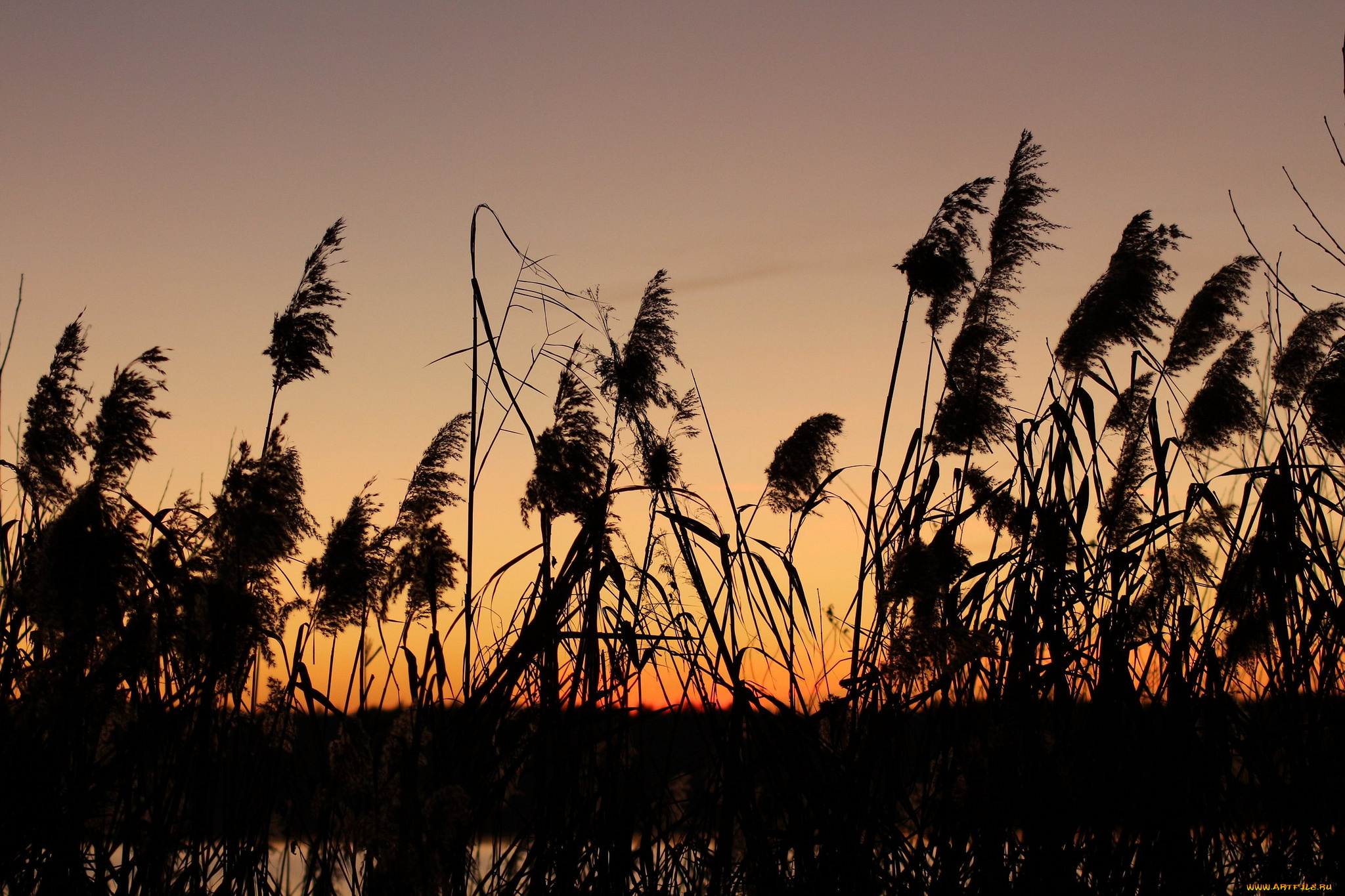 природа, восходы, закаты, утро