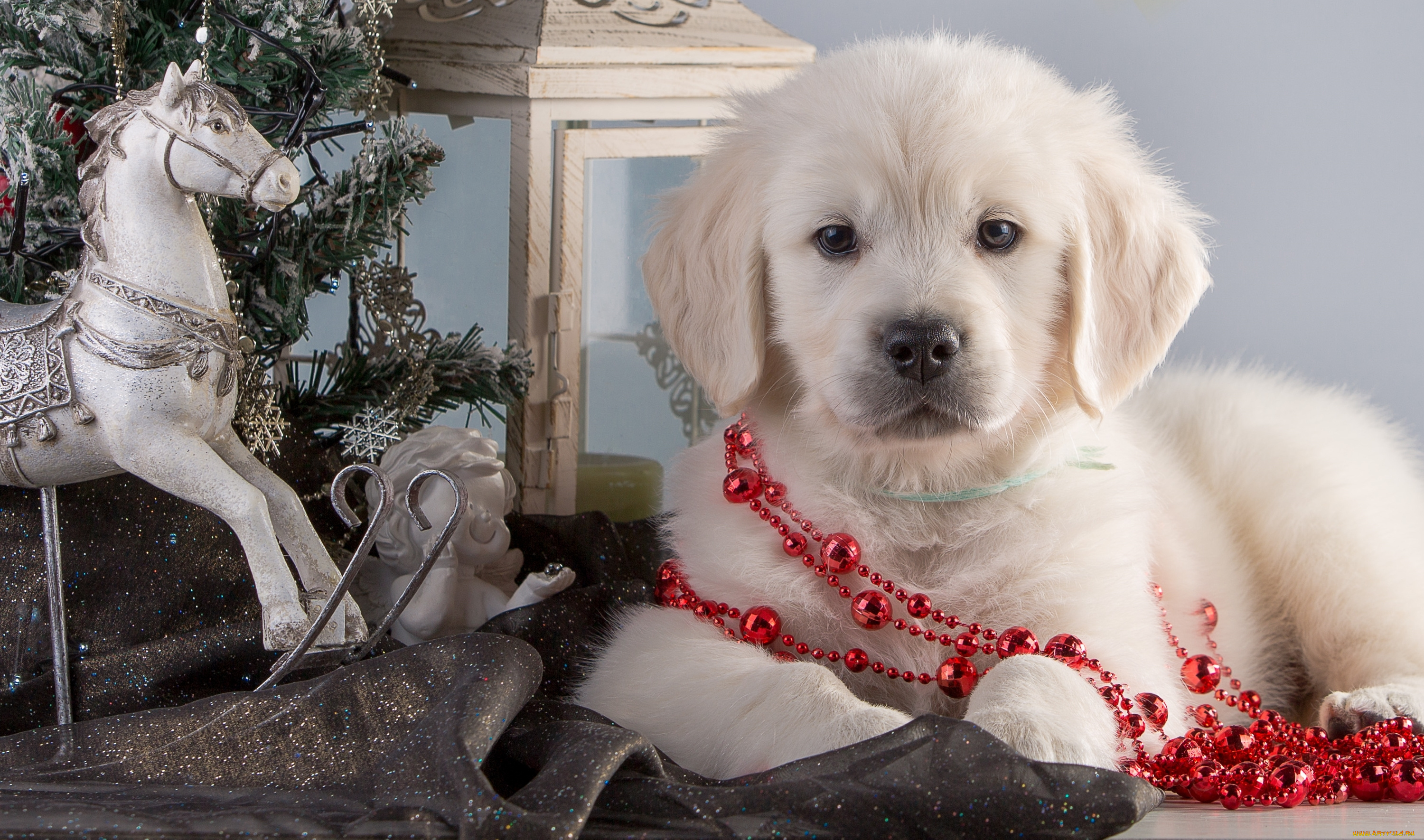 животные, собаки, лошадь, гирлянды, елка, щенок, ретривер, ангел, конь