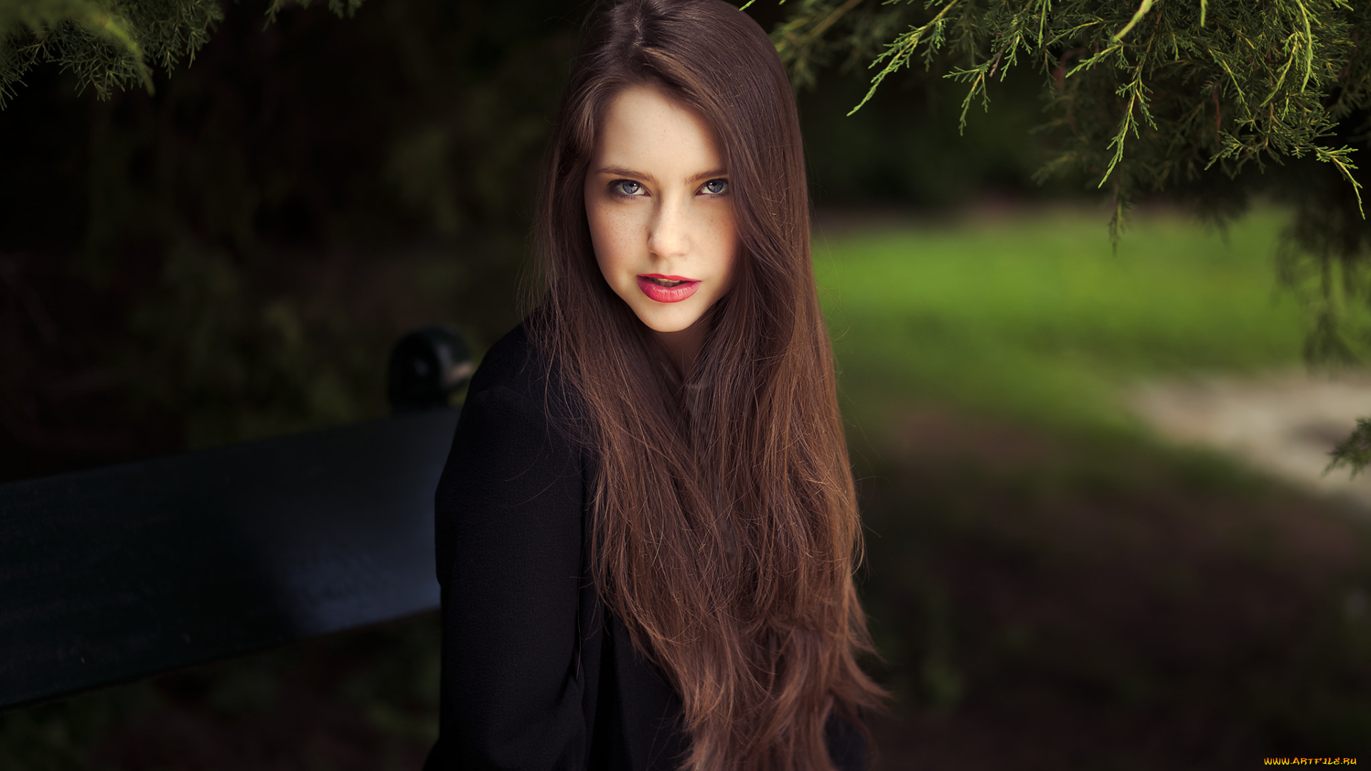 девушки, -unsort, , брюнетки, , шатенки, лицо, взгляд