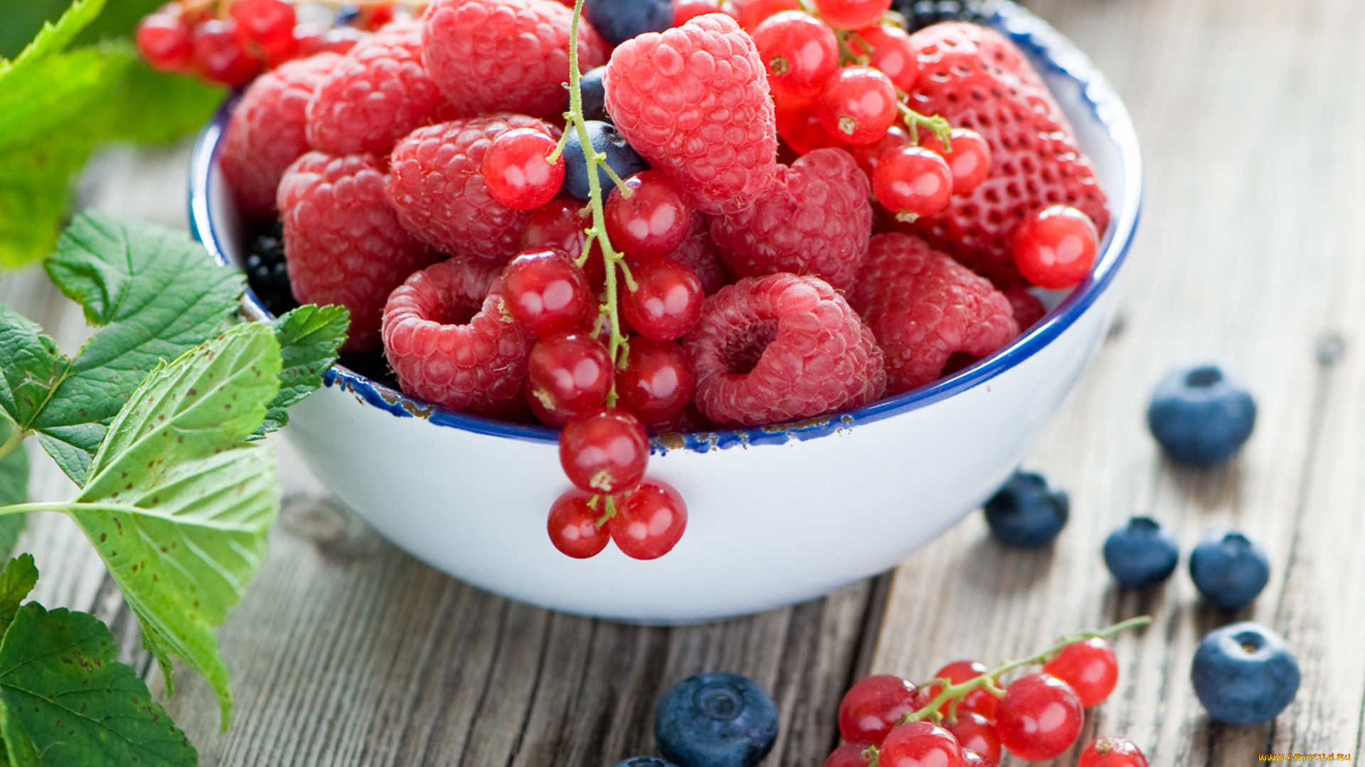 еда, фрукты, , ягоды, ягоды, стол, клубника, смородина, черника, малина, листья, миска