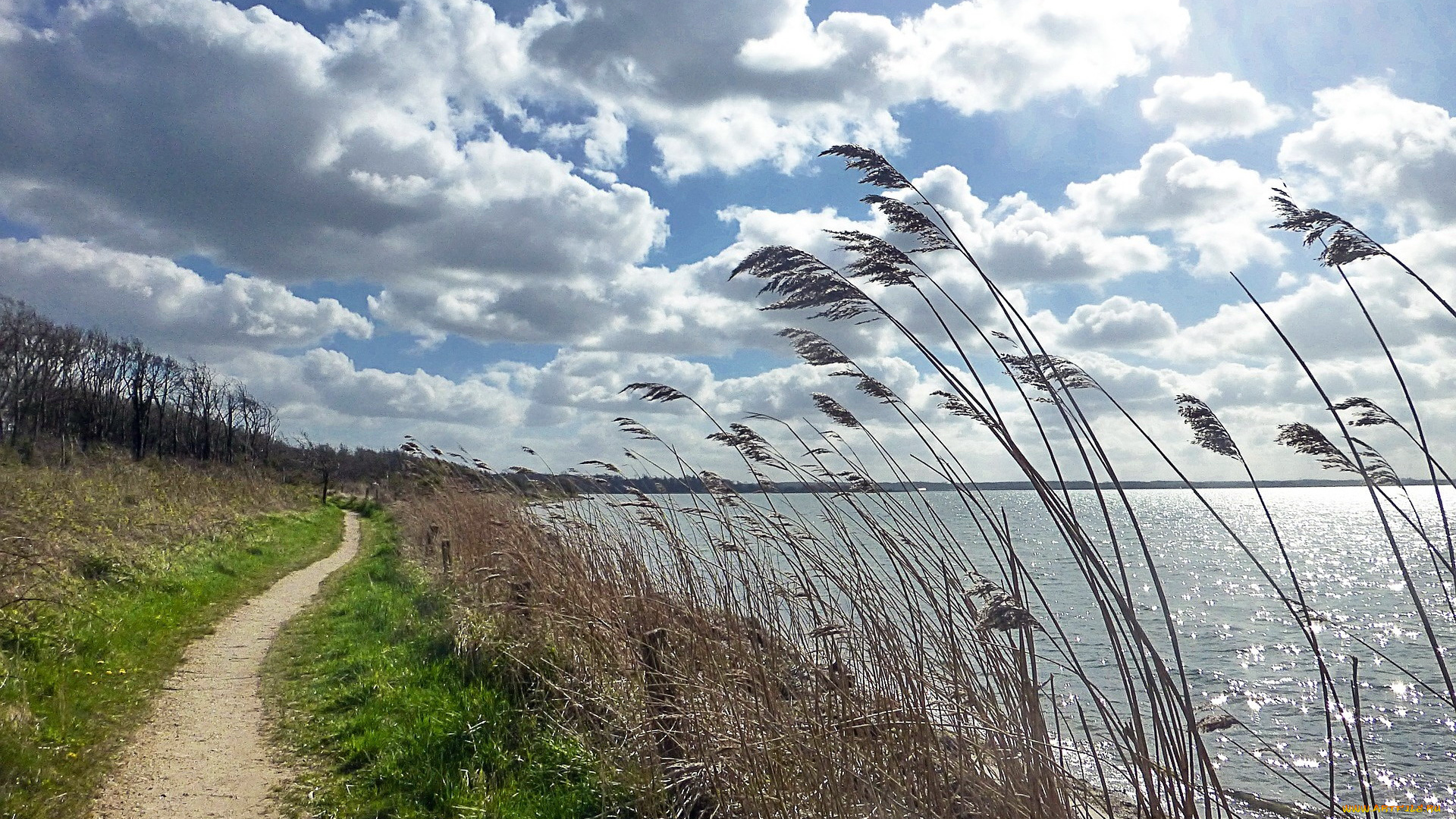 природа, побережье, тропинка, вода, облака