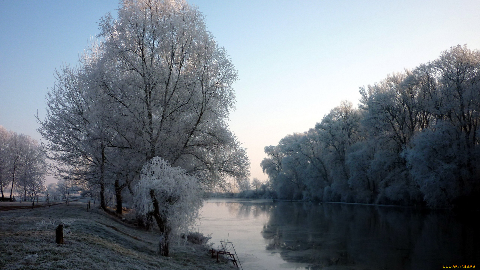 природа, реки, озера, деревья, иней, река