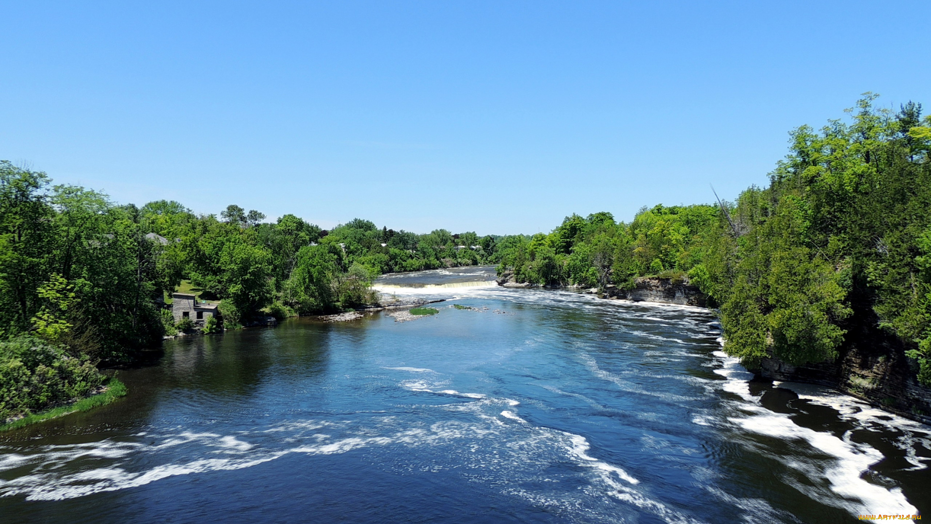 природа, реки, озера, поток, вода, река, деревья