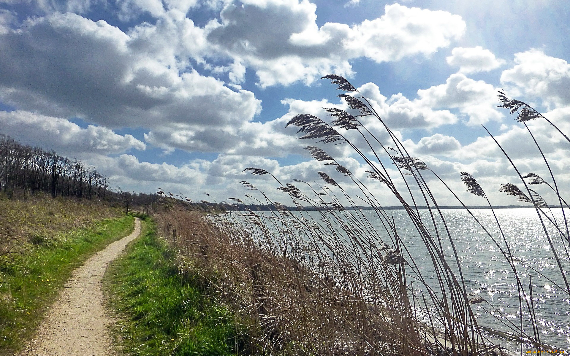 природа, побережье, тропинка, вода, облака