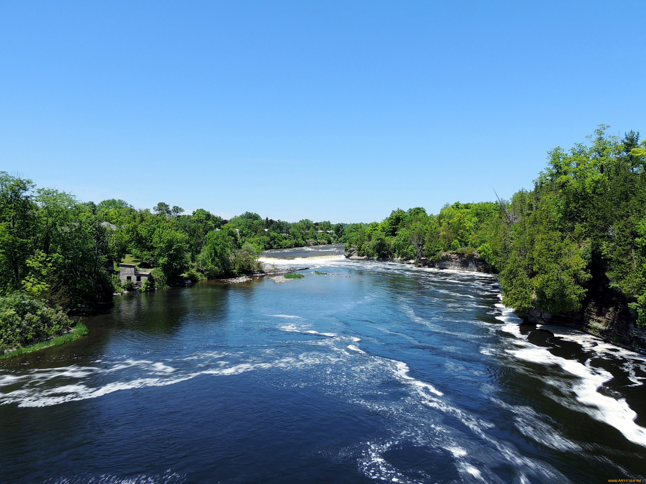 природа, реки, озера, поток, вода, река, деревья
