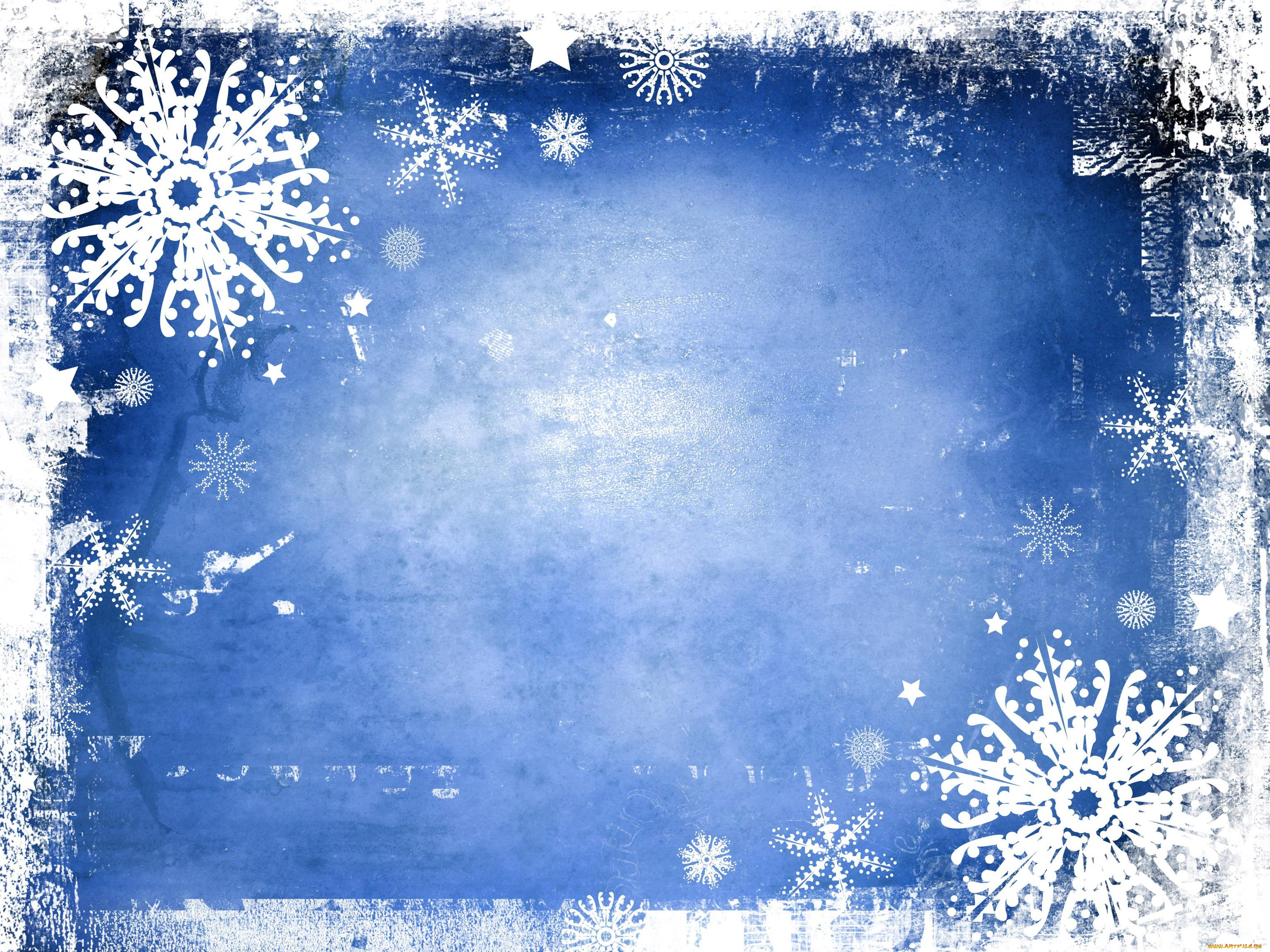 векторная, графика, природа, , nature, узор, фон, цвет