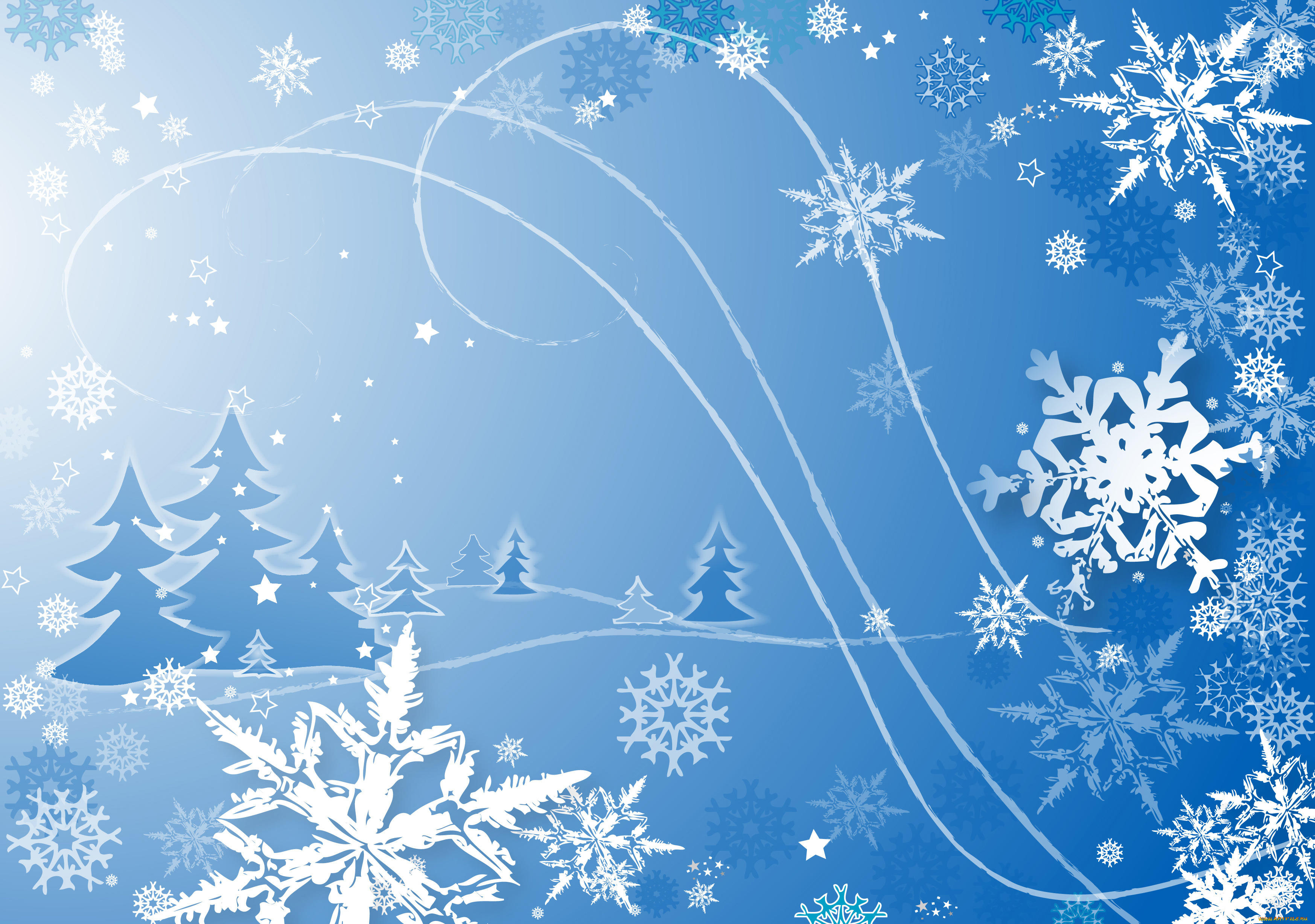 векторная, графика, природа, , nature, фон, узор, цвета